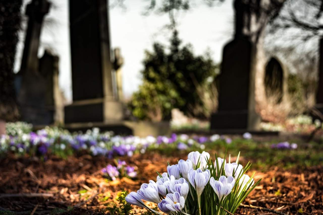 Encontrar curso tanatopraxia Madrid