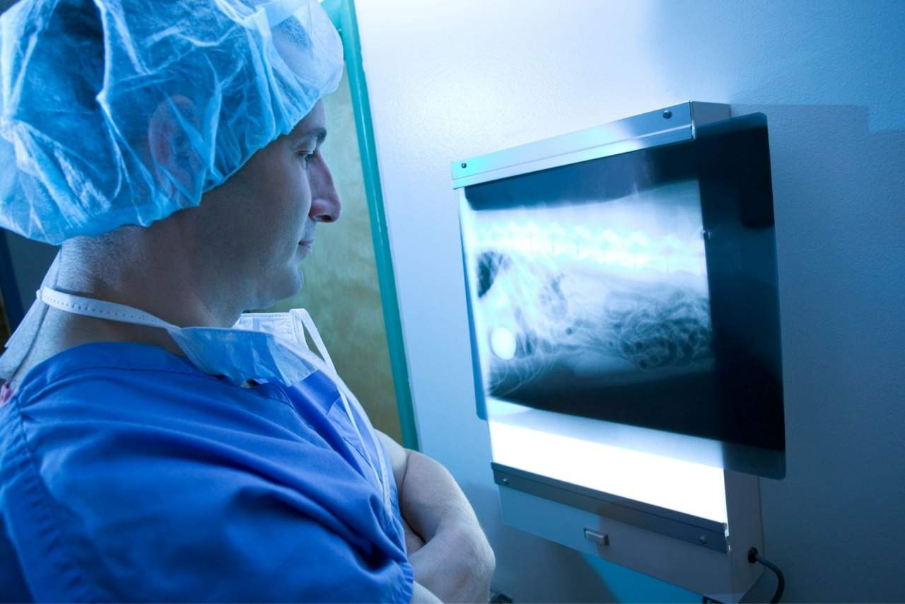 Características del software veterinario PetClinic