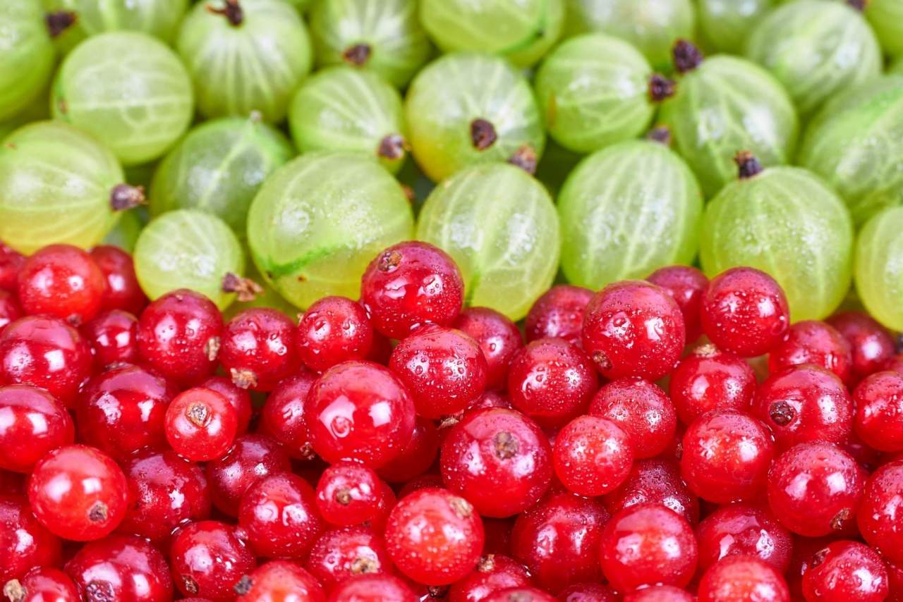 ¿Cuáles son los beneficios de comprar fruta ecológica online en EcoSarga?