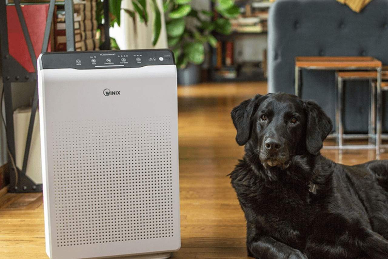 Purificador de aire Winix ZERO, el mejor purificador de aire para alergias