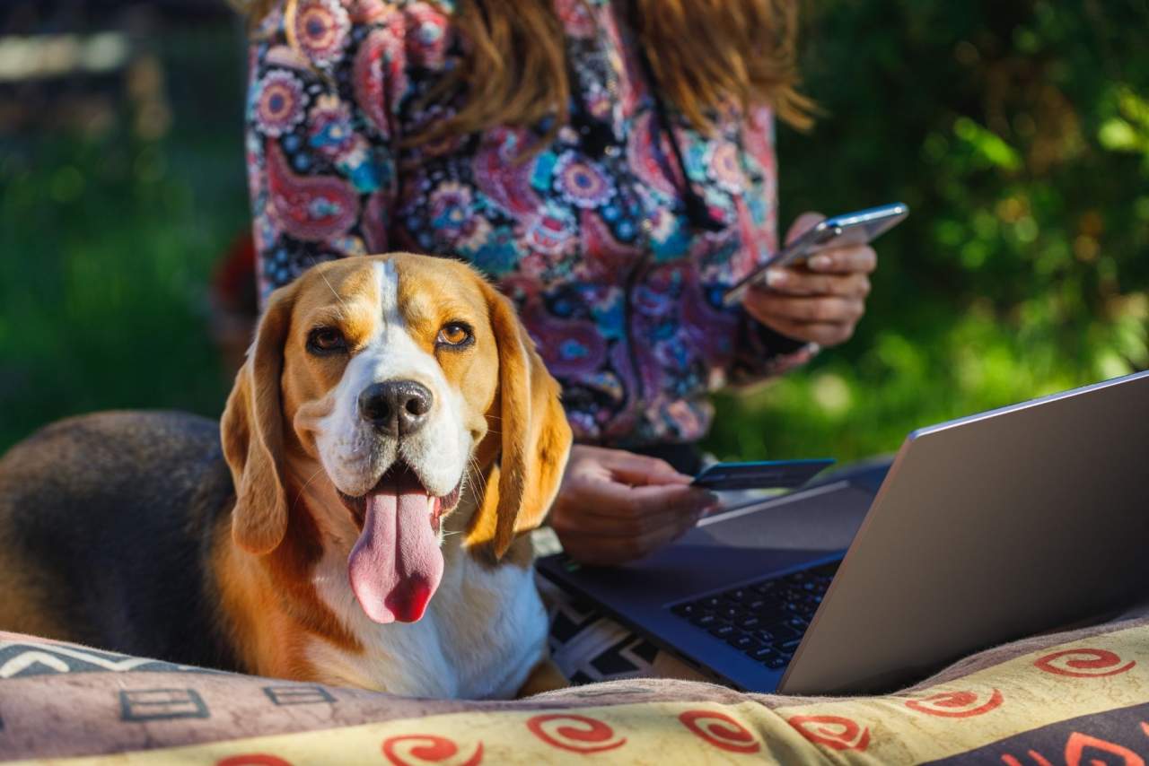 ¿Cómo ayuda el Software veterinario en el día a día de las clínicas? Experiencia con Petclinic
