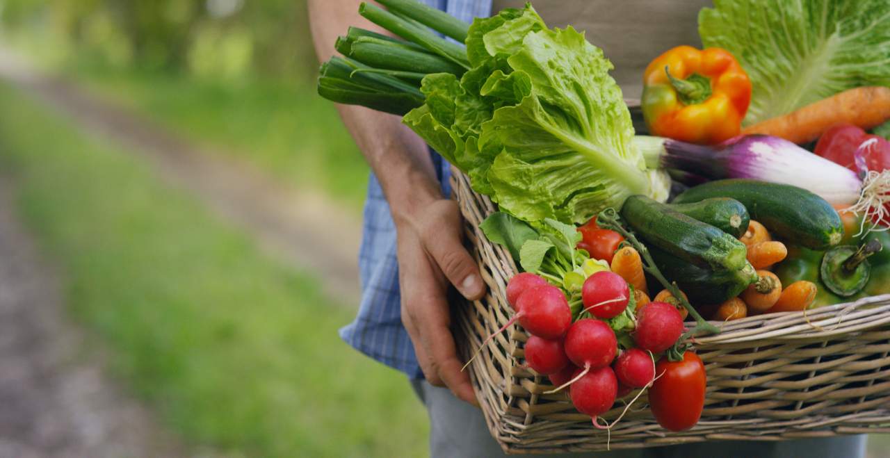 EcoSarga se suma al boom de la fruta ecológica en 2021