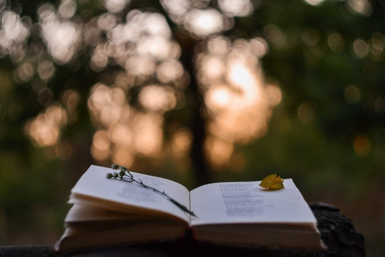 La apuesta de Fundación Alambique: la digitalización de la poesía