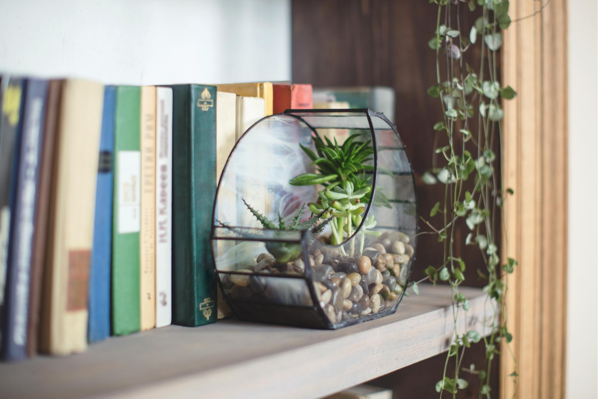 Decorar casas con Feng Shui es posible en la actualidad gracias a la compañía Área Feng Shui