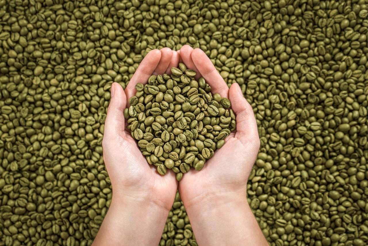 Libis Coffee Roaster recomienda la compra del café verde