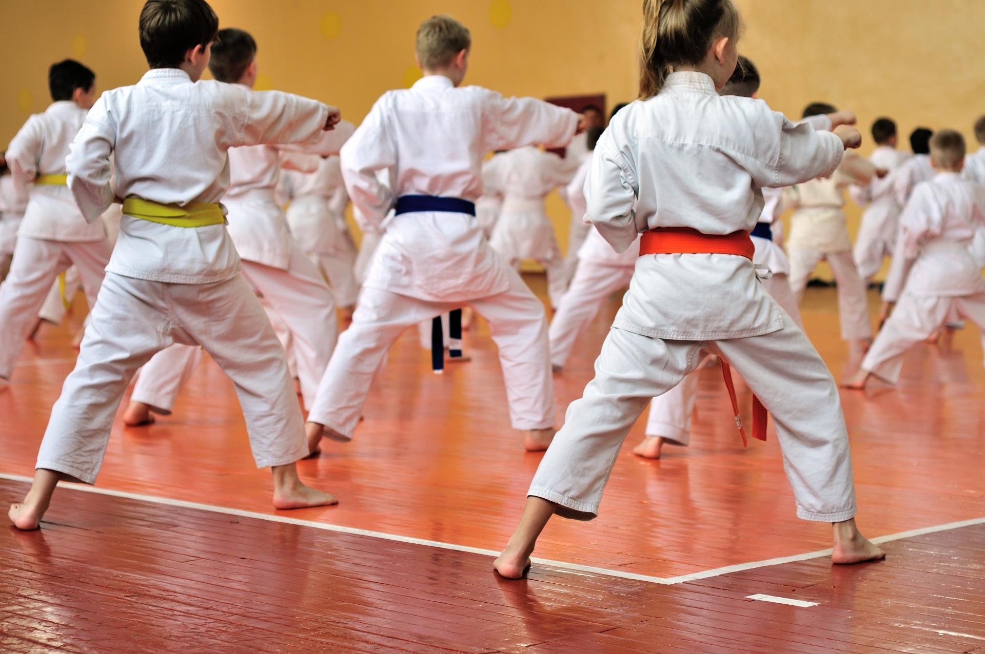 El Dojo, Escuela de Artes Marciales y Kenpo Kai en Madrid, es elegida como una de las principales opciones como extraescolar