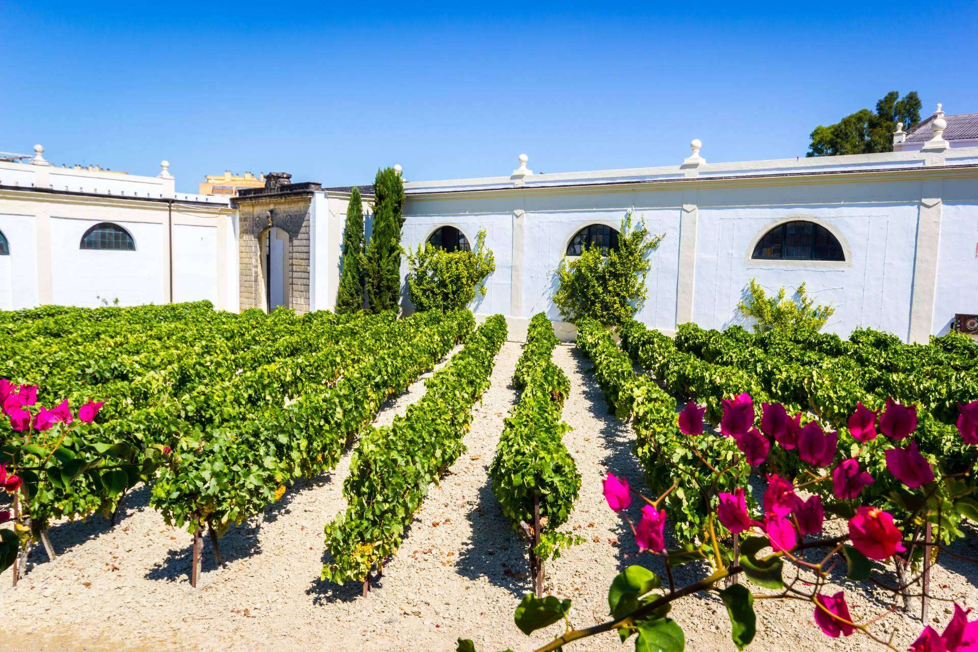 El marco de Jerez: la línea de vinos de Jerez que se ofrece en la tienda online de vinos De Gálvez