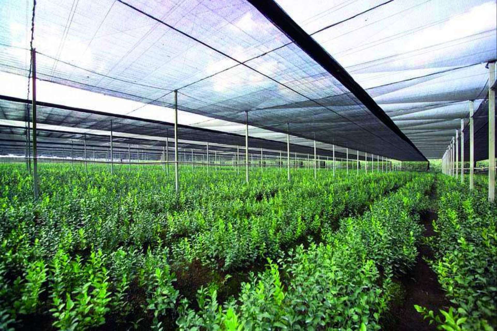 AGRICOVER, la nueva tecnología desarrollada por Agralia