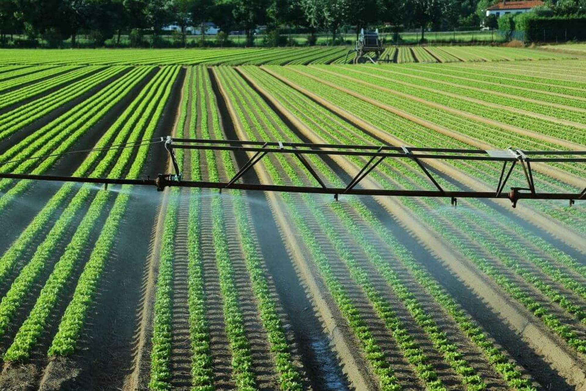 ASE Optics Europe participa en un proyecto innovador con el objetivo de potenciar la industria agrícola española