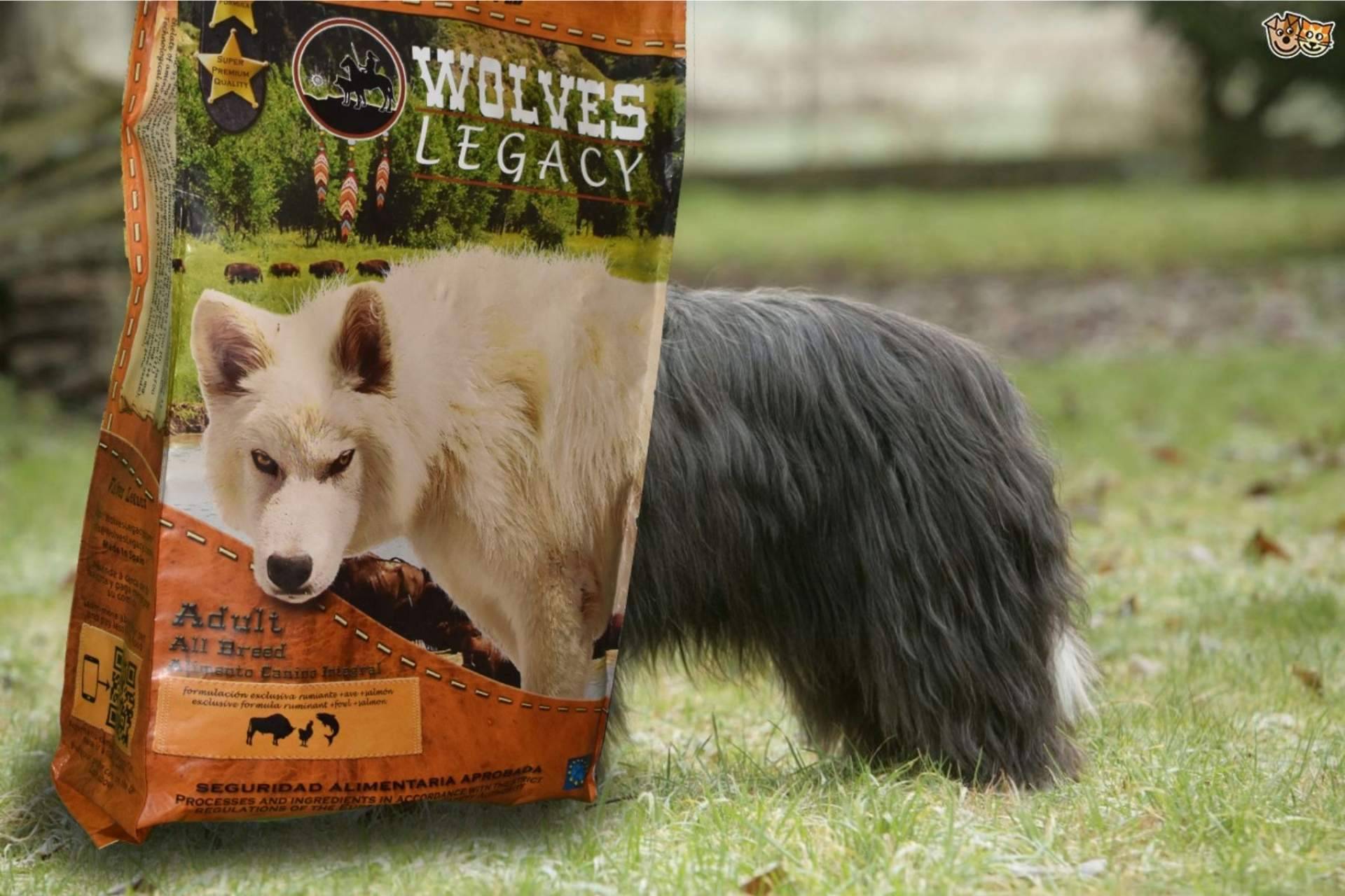Las mejores opiniones del pienso para perros: Wolves Legacy
