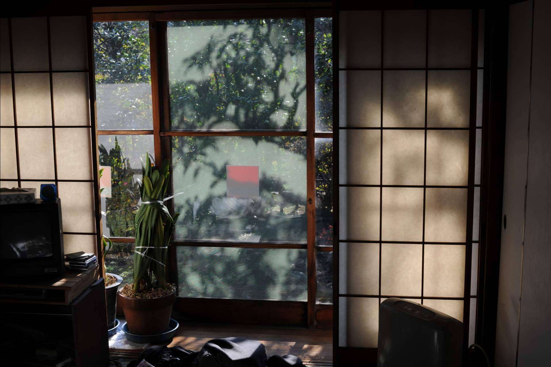 Losma Studio: la ventana de madera es una de las mejores alternativas ecosostenibles en ventanas y balcones