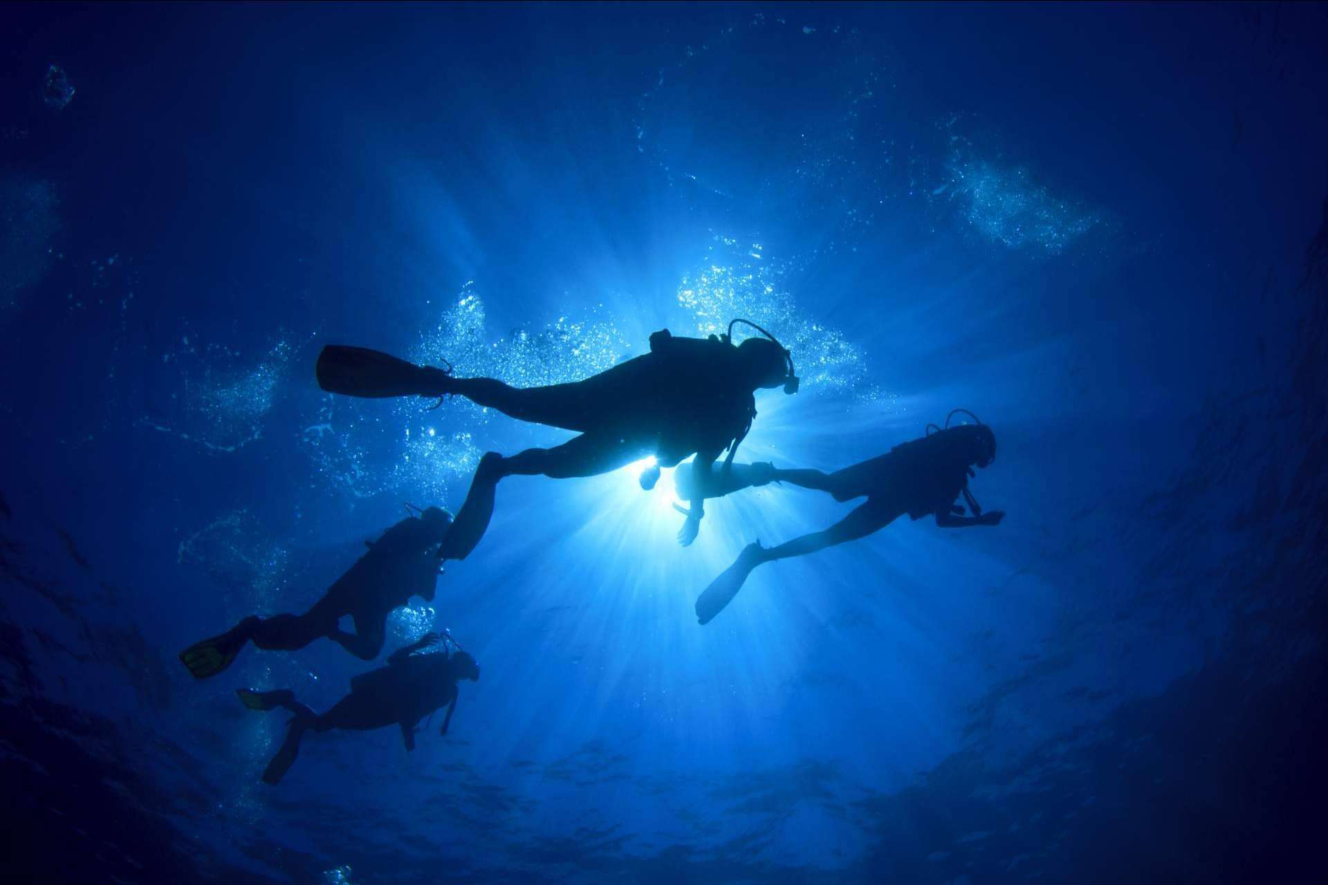 Gestión Emocional: ¿Qué ofrecen los cursos de gestión de estrés en el buceo?