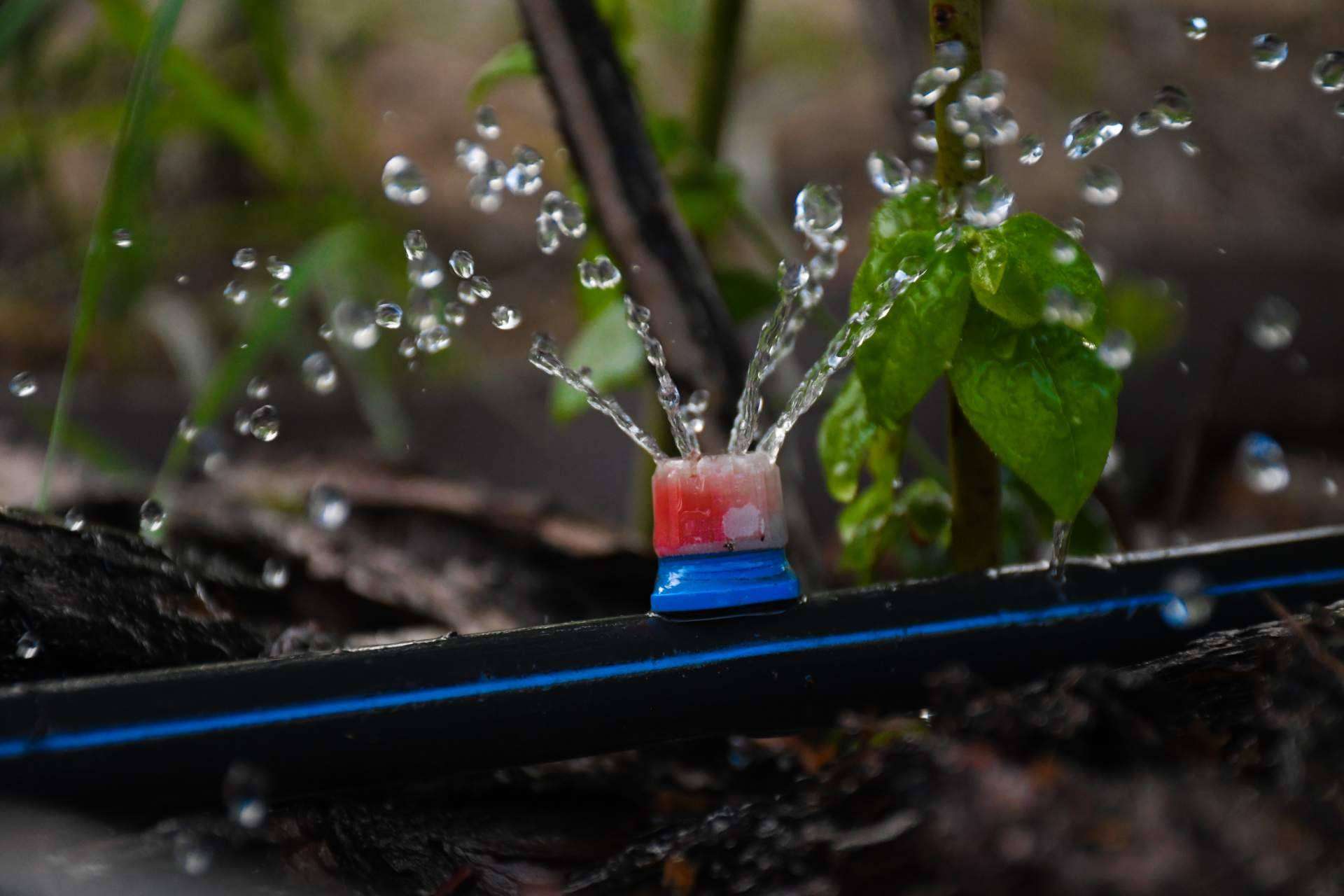 La novedad de Ozonotec Eco: Ozonotec Dual O2O3 proporciona nanoburbujas de oxígeno o de ozono para el agua de riego agrícola