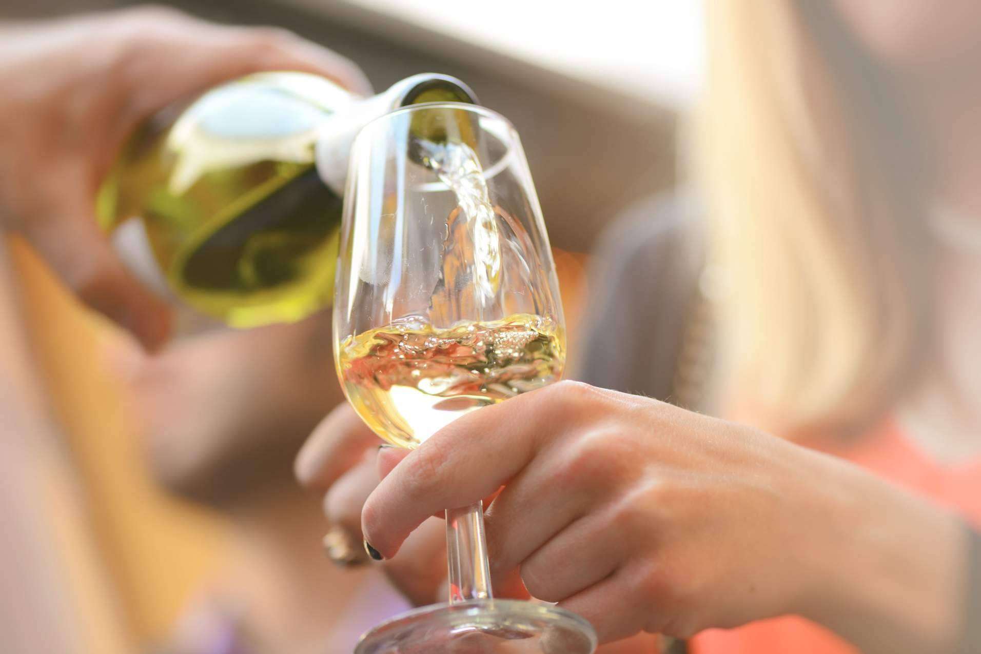 De Gálvez presenta la colección de tendencias: compartir el vino es un arte