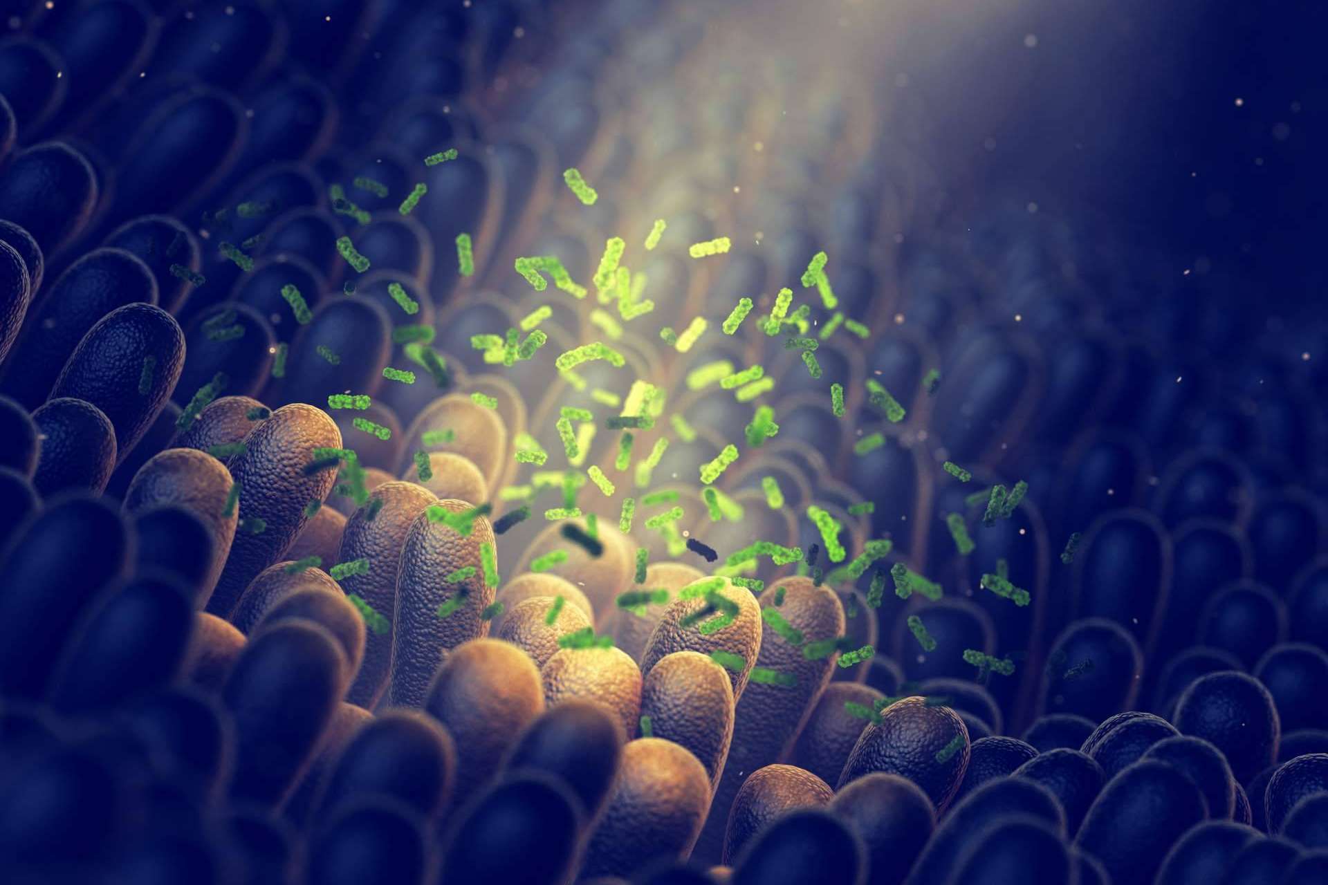 ¿La disbiosis intestinal tiene cura?