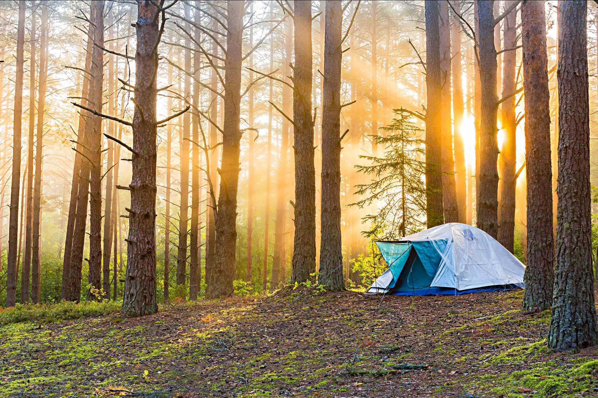 ¿Cómo dar la vuelta al mundo? Campamento de aventura de Aventurarte