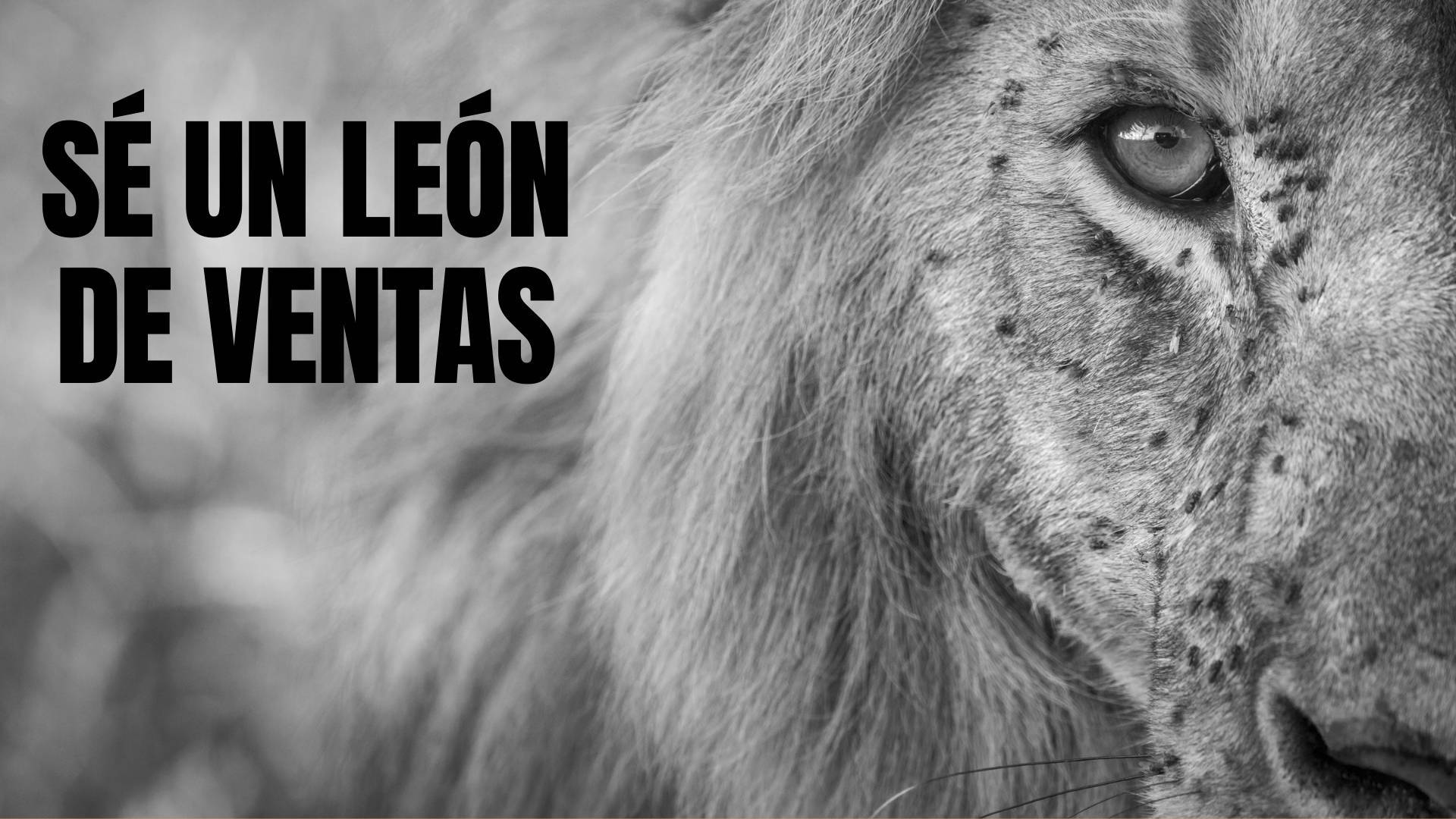 Ser un León de Ventas con la estrategia de Javier Ramos