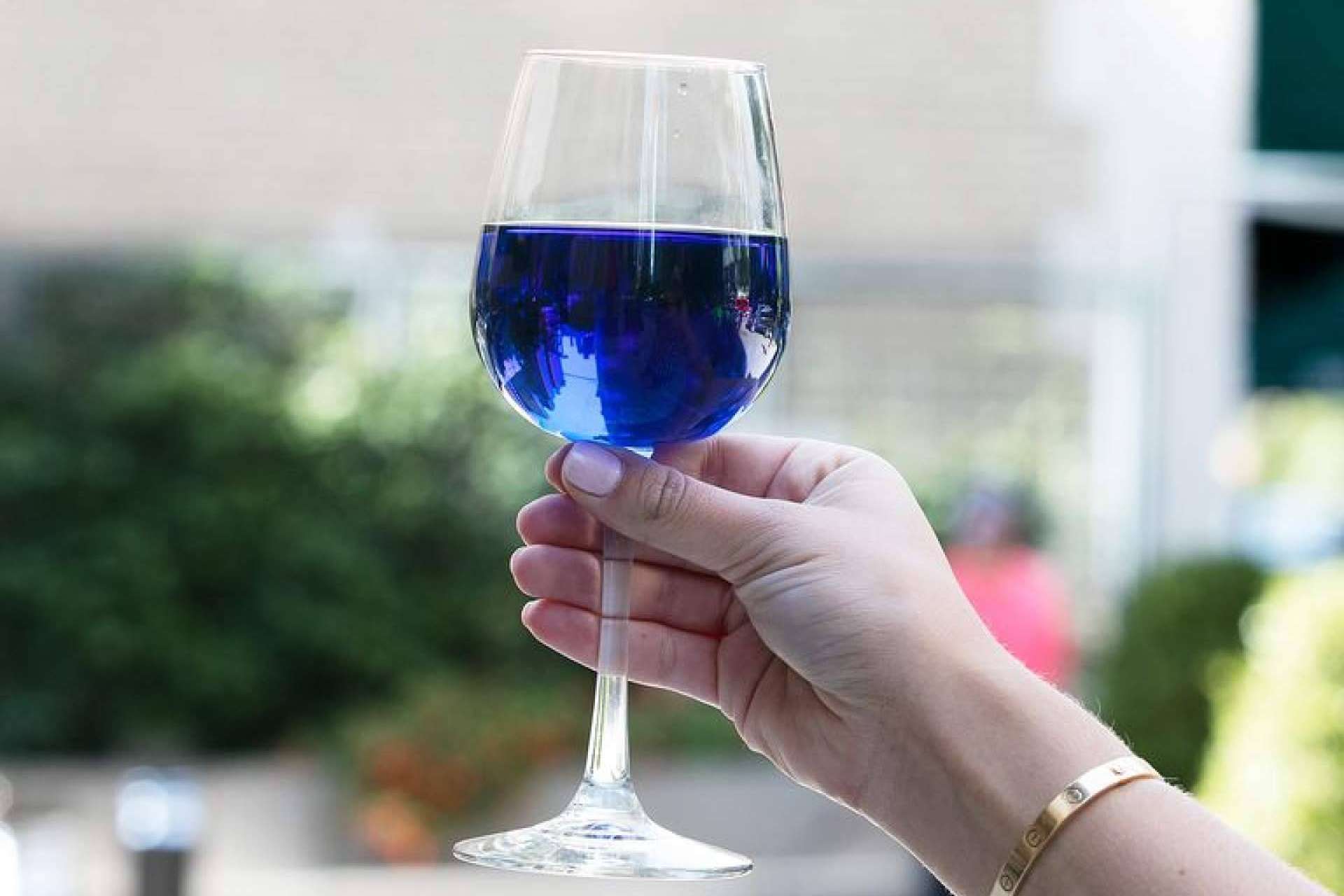 ¿Dónde encontrar variedades del vino azul?, por la tienda online Mesa 16