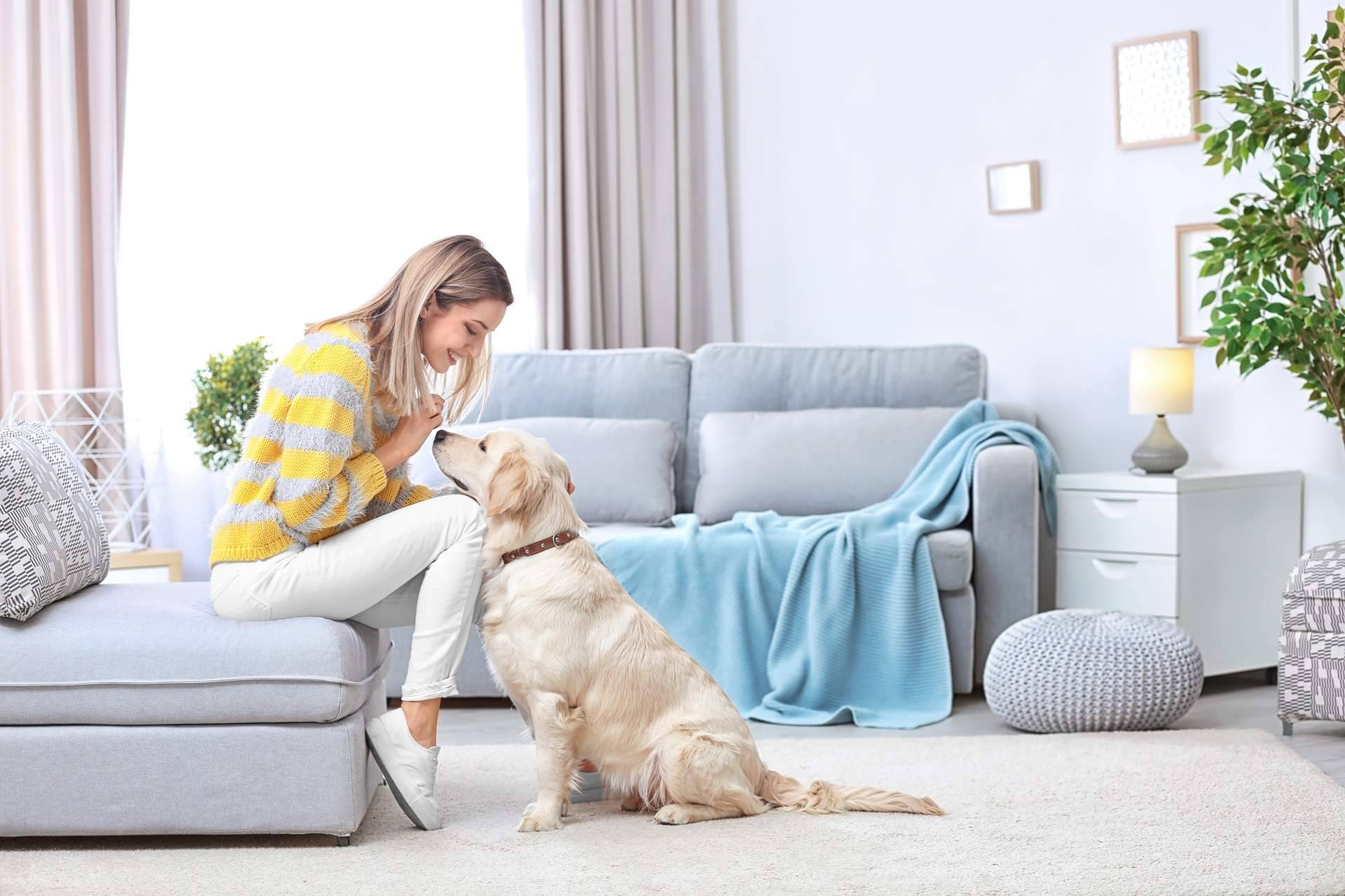 Consejos para una buena convivencia con perros y gatos. La antrozoología y etología del perro y del gato