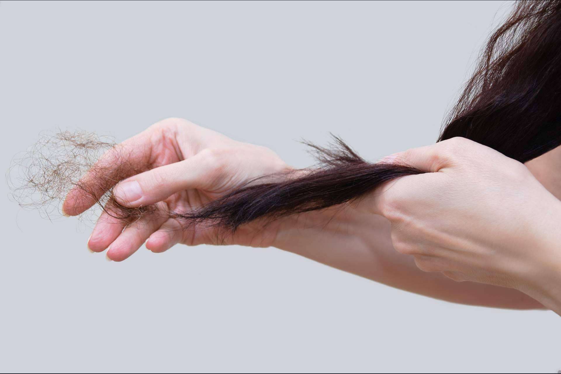 ¿A qué se debe la sequedad de la piel y la caída de cabello en otoño? Géomer