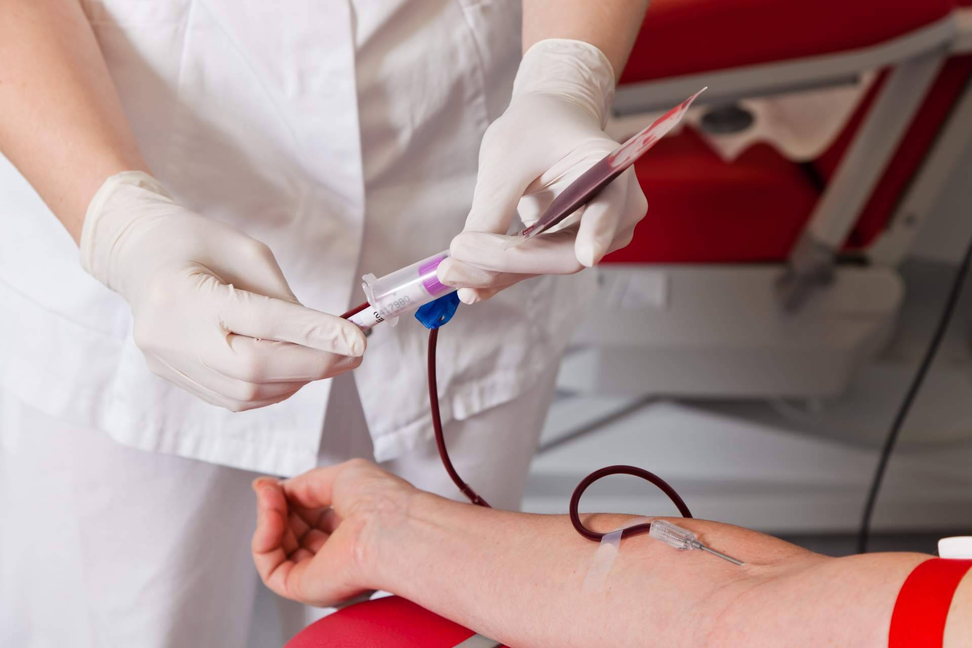 Ayurveda Medicina Natural, donar sangre en otoño y primavera, una acción solidaria que beneficia la salud