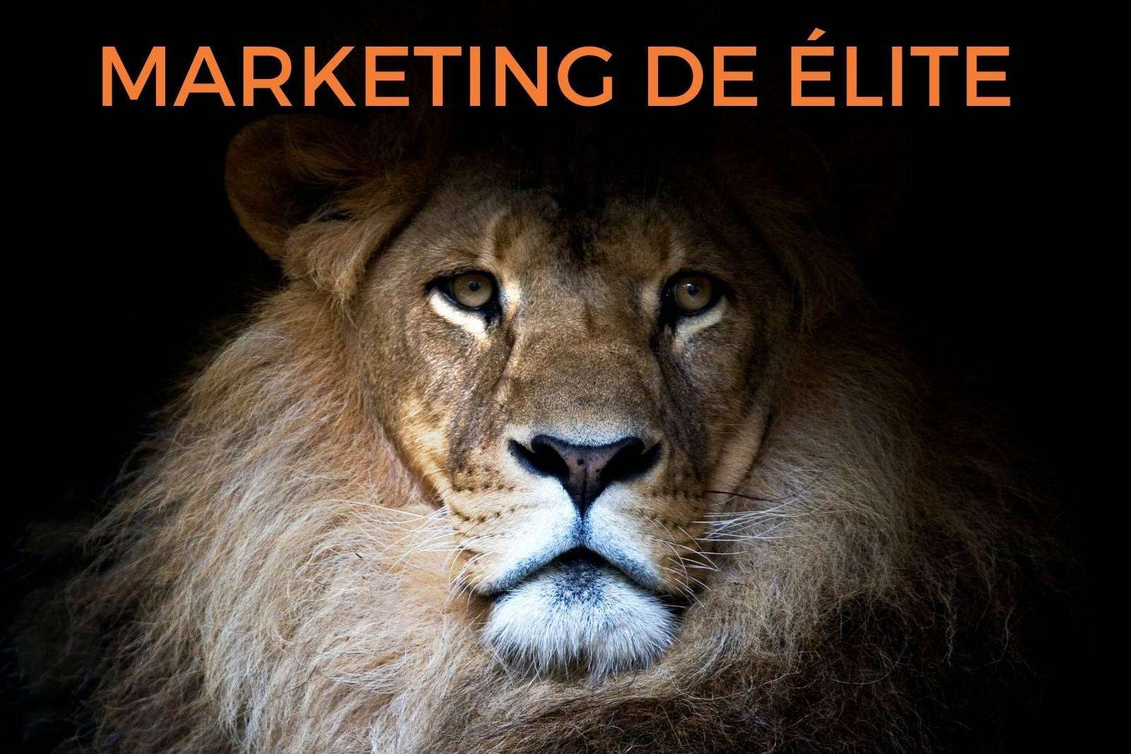 El León de Ventas publica su nuevo libro, Marketing de Élite