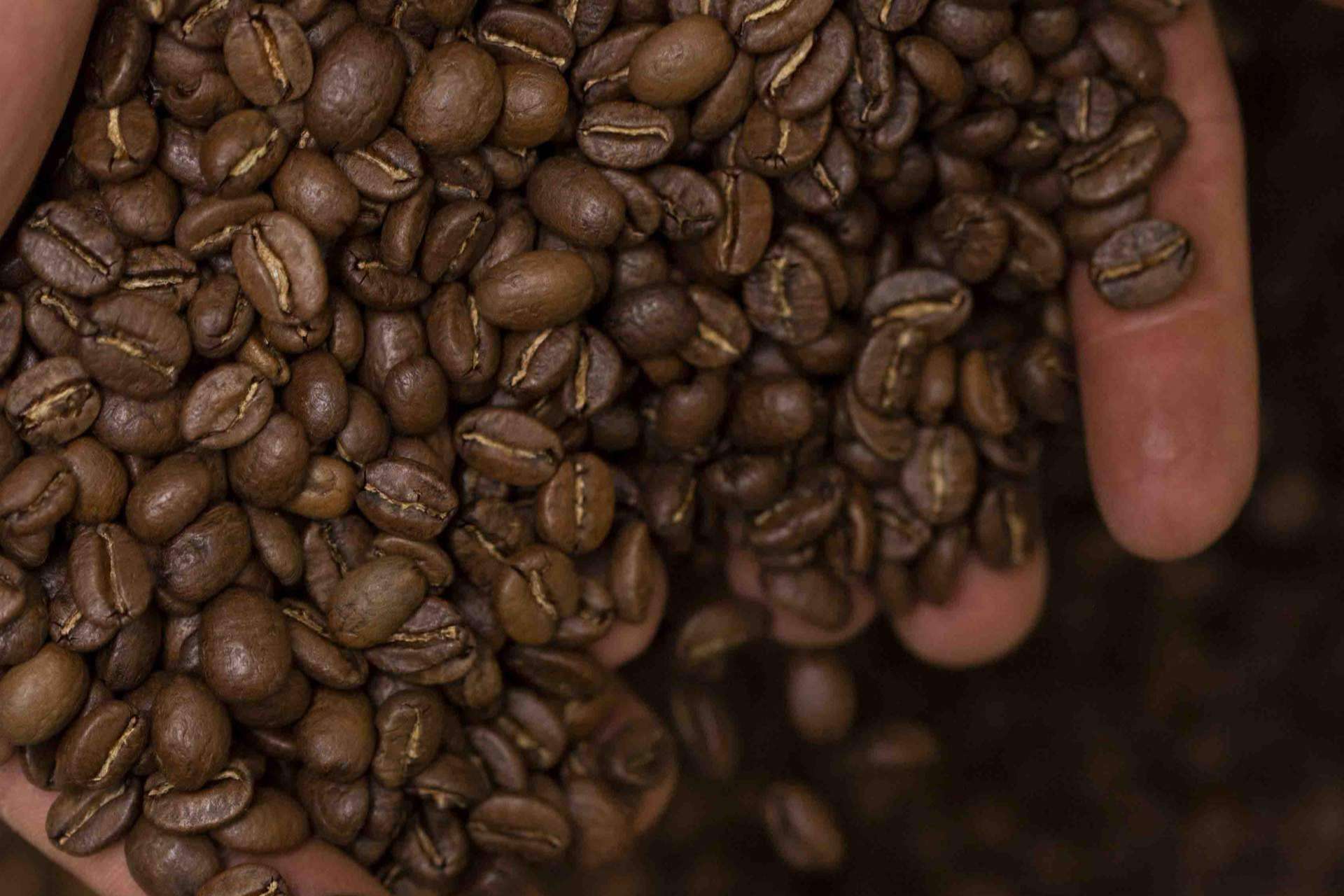 Syra Coffee, el café de especialidad al alcance de todo el mundo