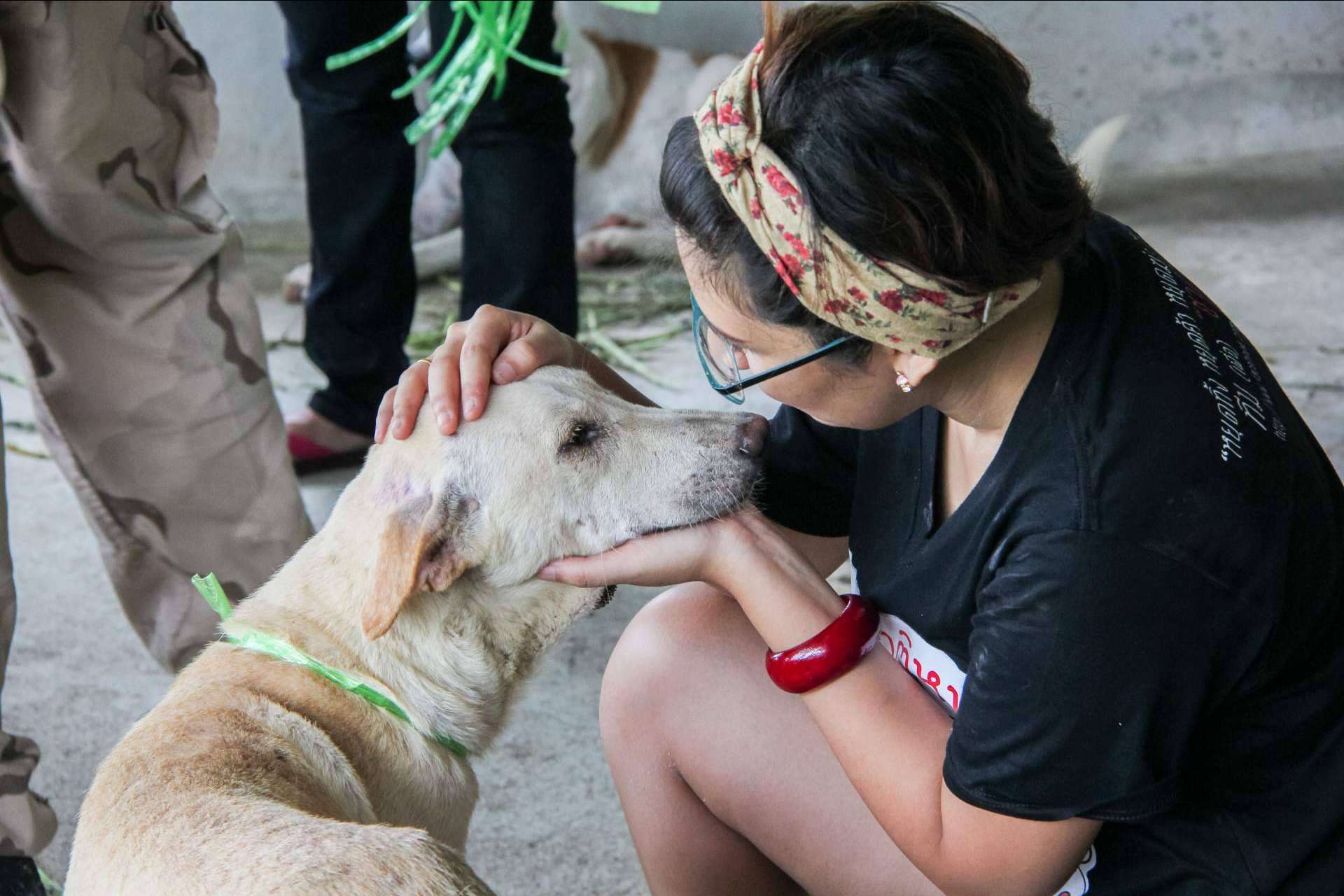 El proyecto Adopta un Animal cuenta con tienda online propia para ayudar a fundaciones y protectoras de animales