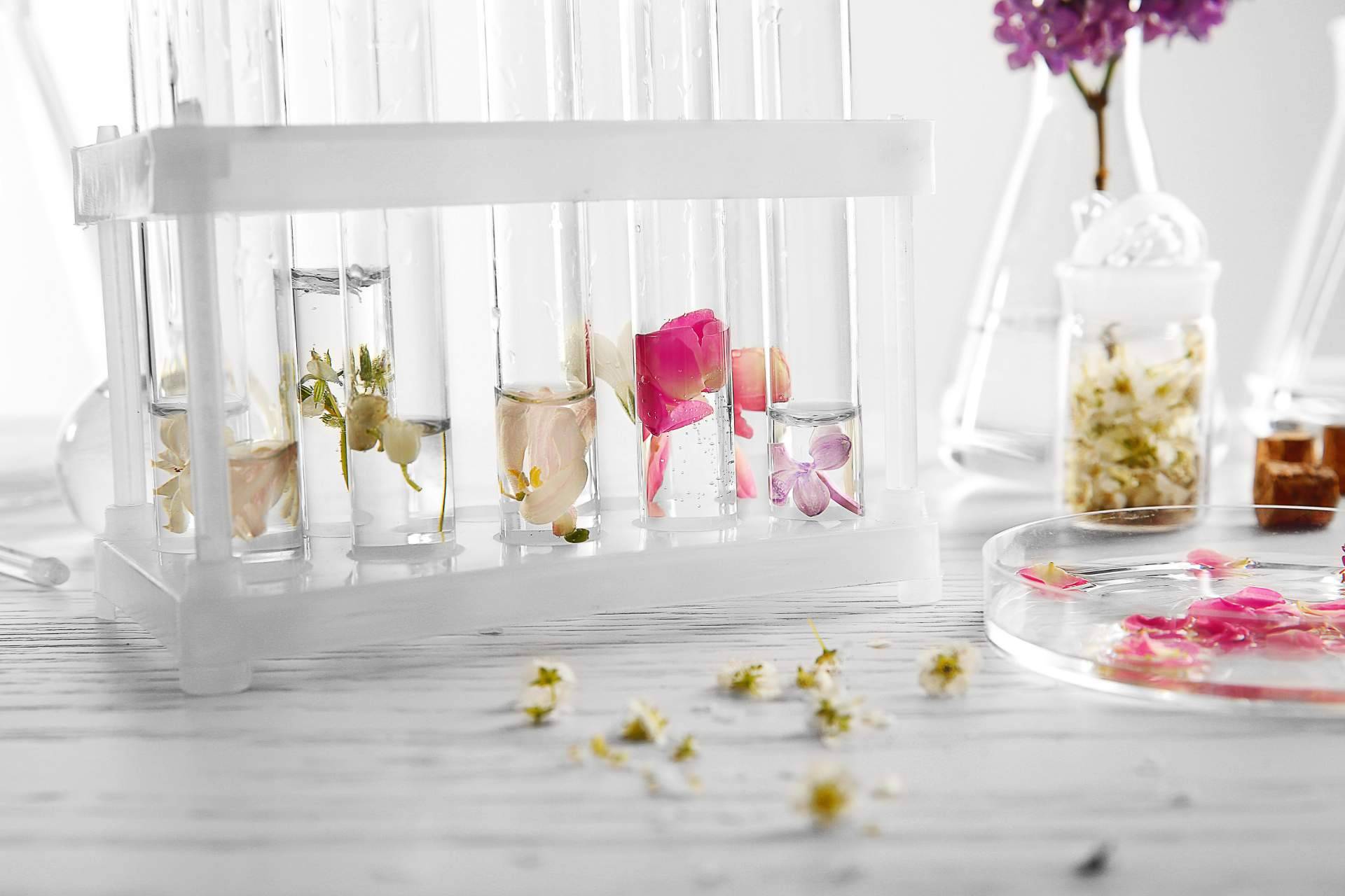 Los productos de cosmética y los perfumes de A de Ahorro