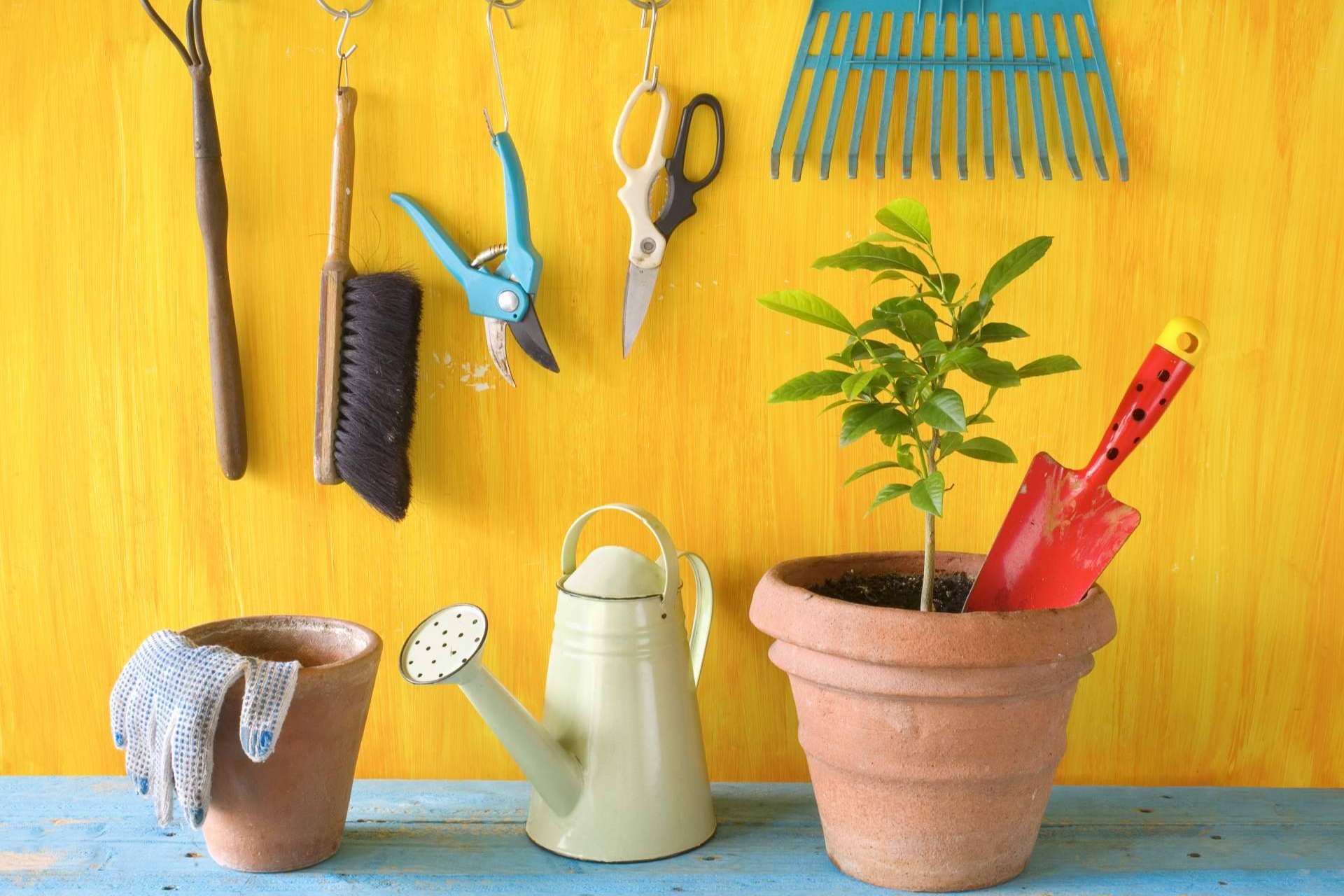 Atykus, gran variedad de productos para el hogar