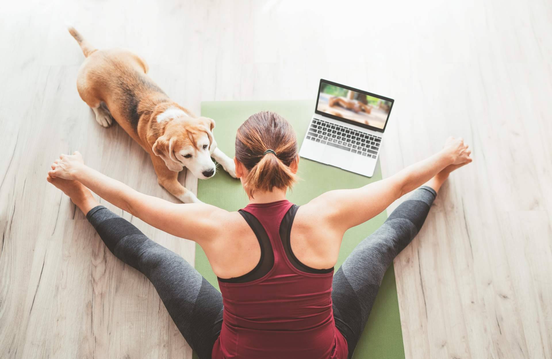 Profesorado de Yoga ofrece diferentes cursos online para profundizar en este arte