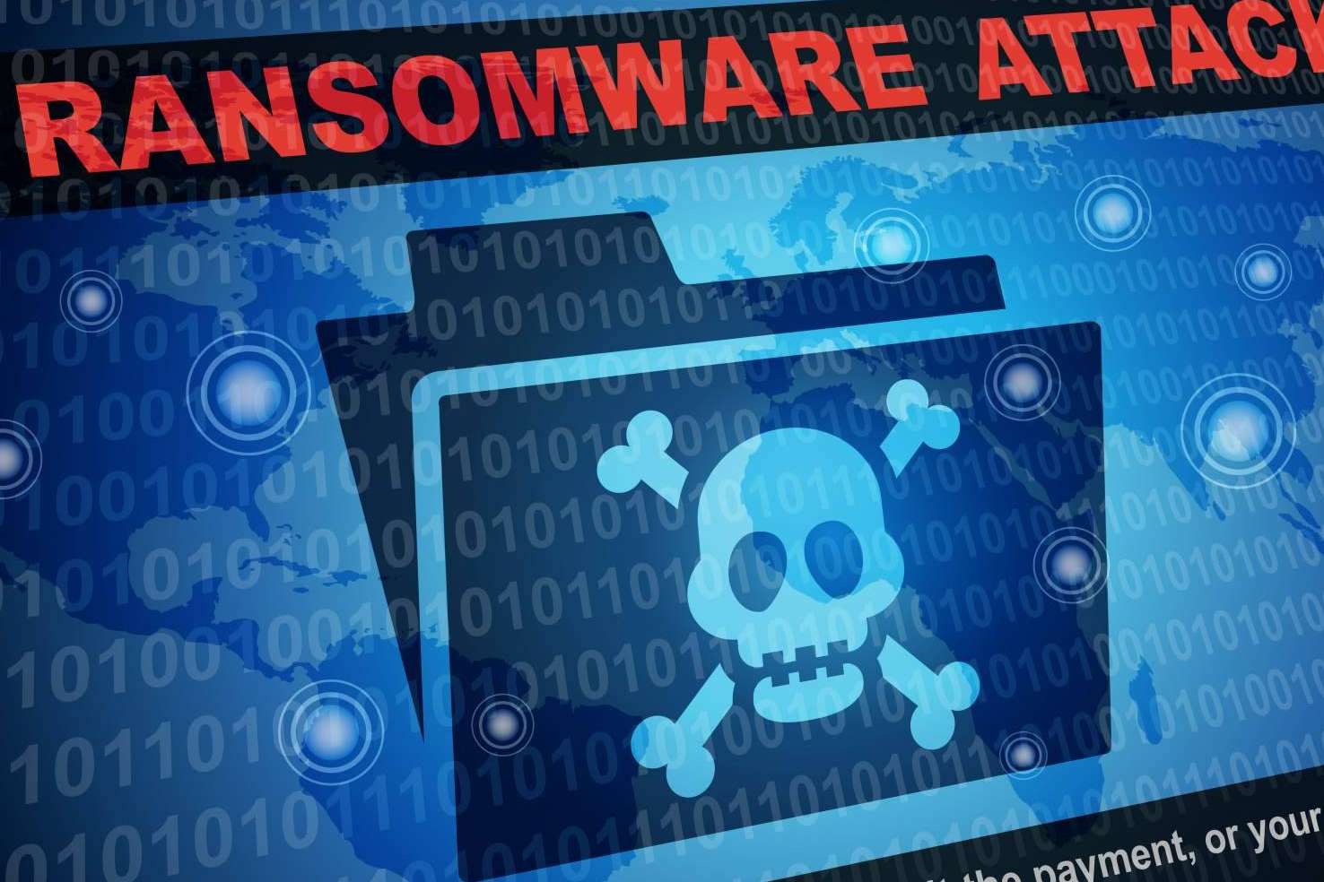 Micopia.online realiza copias de seguridad para proteger la información