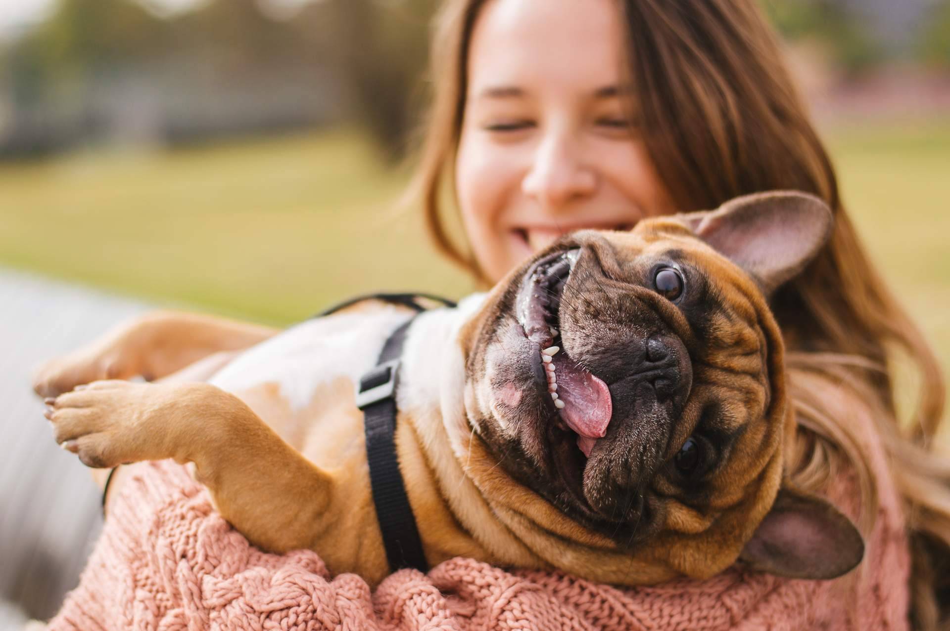 Antrozoología, la ciencia del vínculo humano-animal para conectar con los animales de compañía