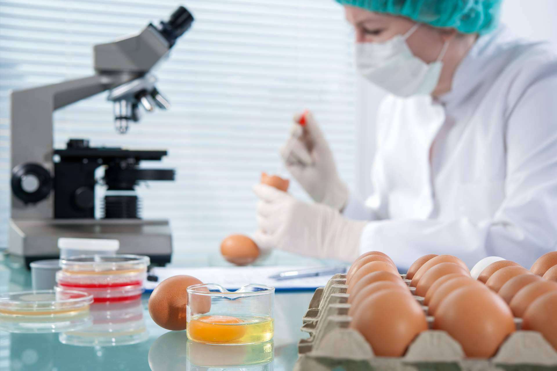 Seguridad alimentaria de la mano de Sigesmar, asesoría técnica para compañías y manipulación de alimentos
