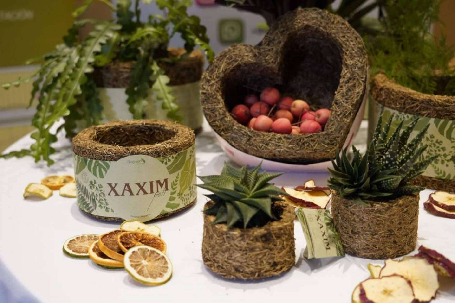Un regalo ecológico y original para el día de los enamorados, sorprender a la pareja y cuidar el planeta de la mano de Biosolvit Spain