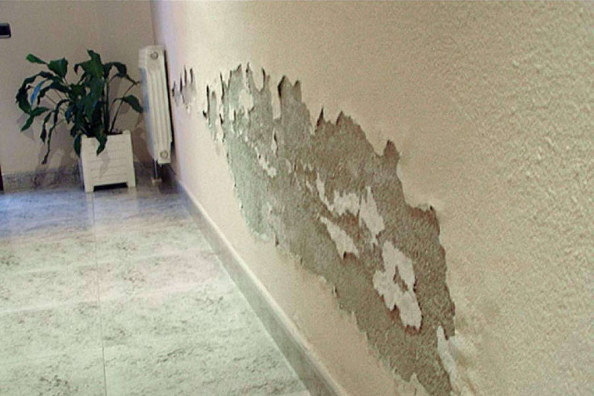 Valencia Reformas, soluciones definitivas de las humedades