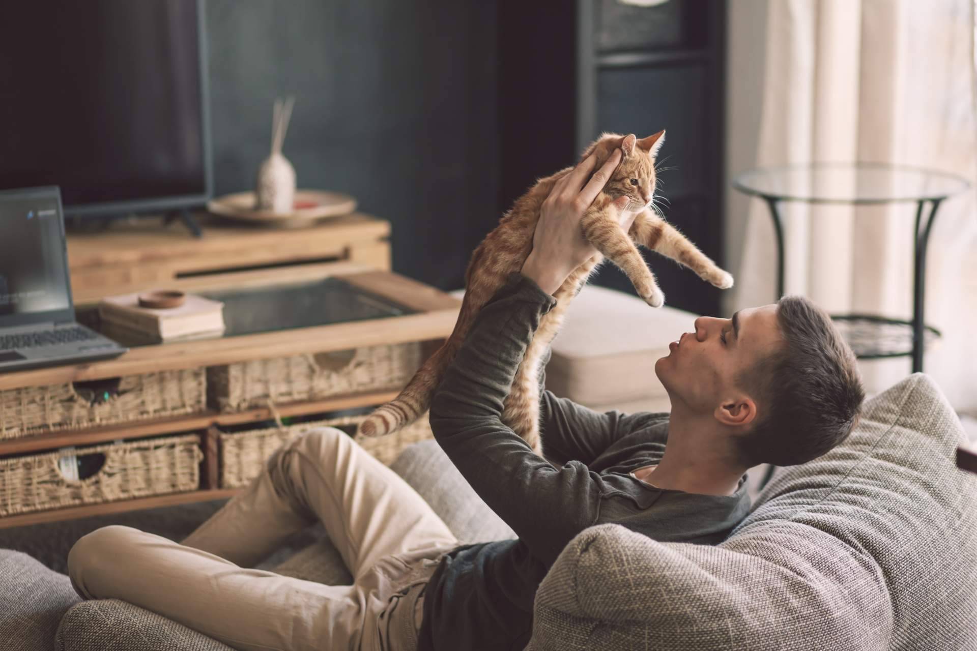 Los beneficios de leer diariamente el blog de 1 Click Vet