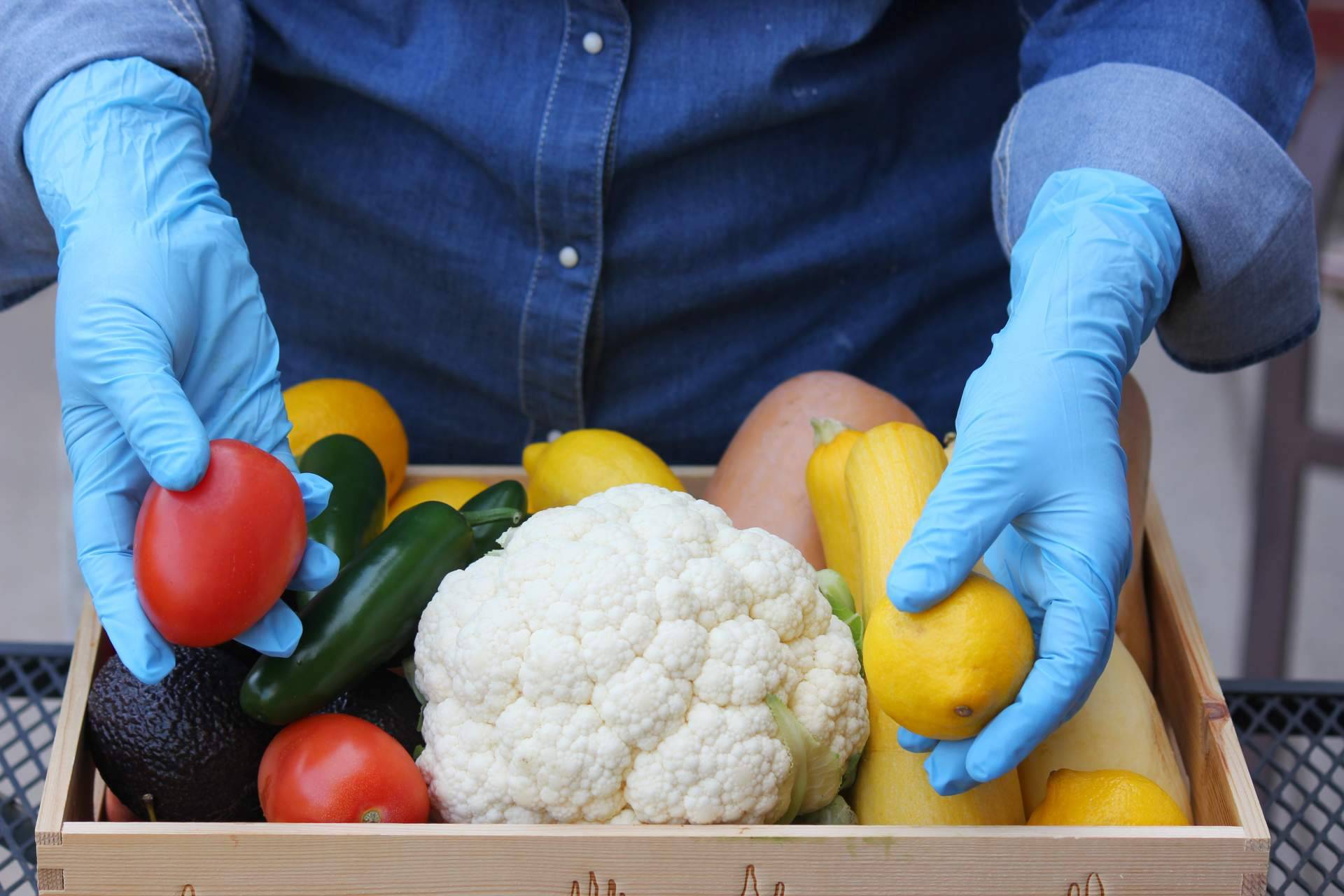 La importancia de realizar un curso de manipulador de alimentos para entrar a trabajar en el sector de la hostelería, por Tecnas Servicios Integrales de Formación y Desarrollo SL