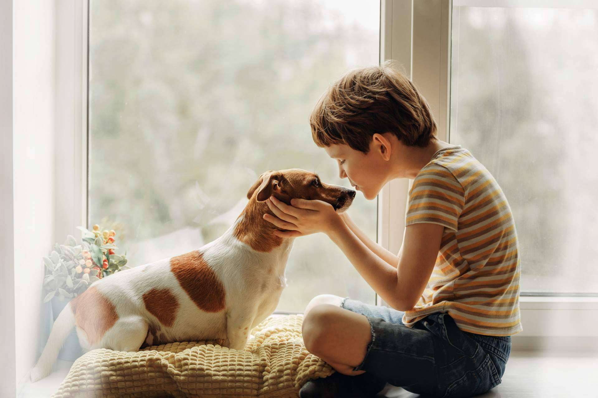 ¿Cómo convivir con un animal de compañía adecuadamente ayuda a los niños y niñas? Los animales de compañía y el desarrollo infantil