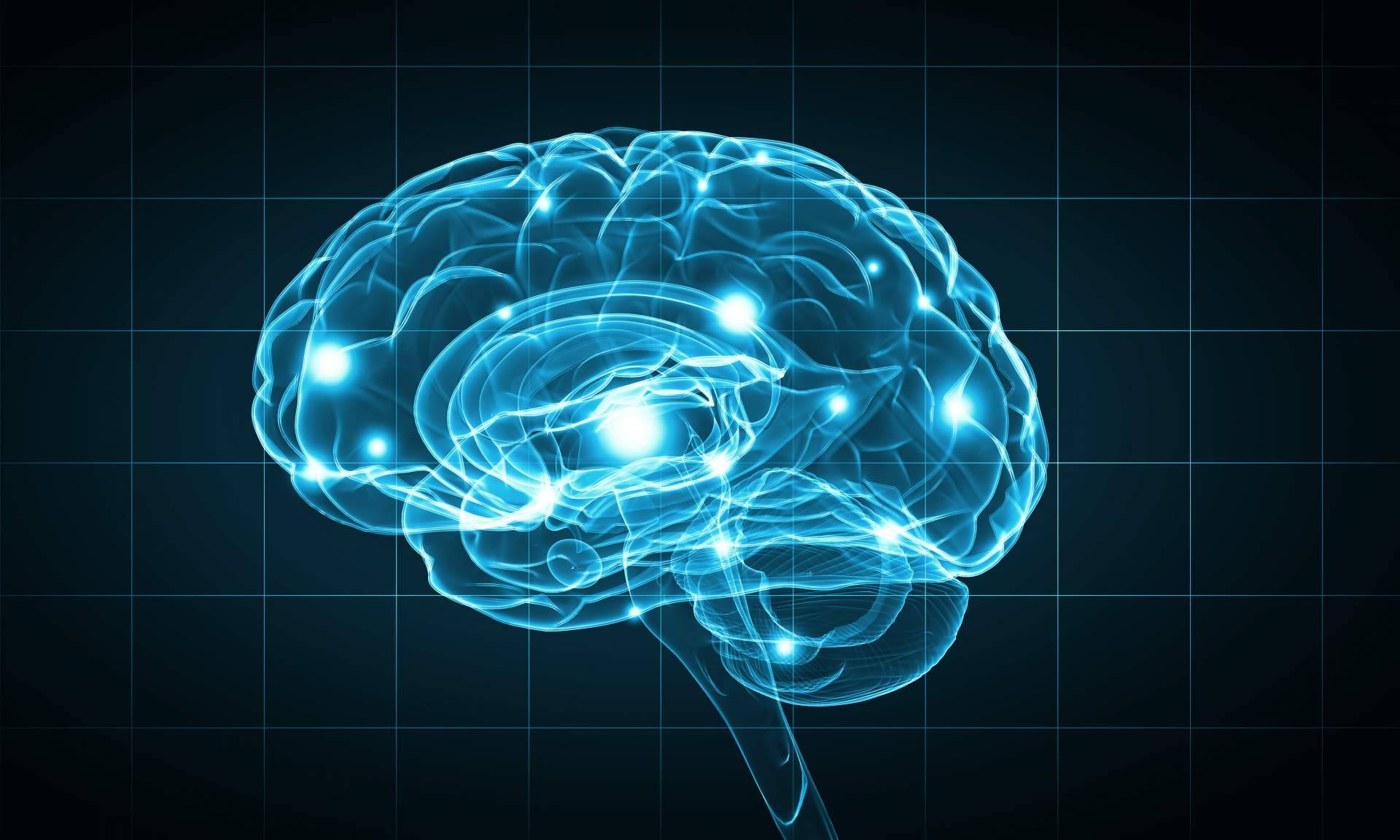 En qué consiste la aplicación del neuromarketing en la venta de propiedades