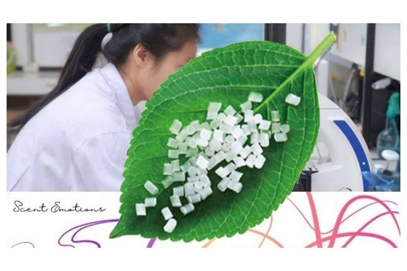 El Programa de Prevención y Gestión de Residuos y Recursos de Cataluña y la participación de Scent Emotions
