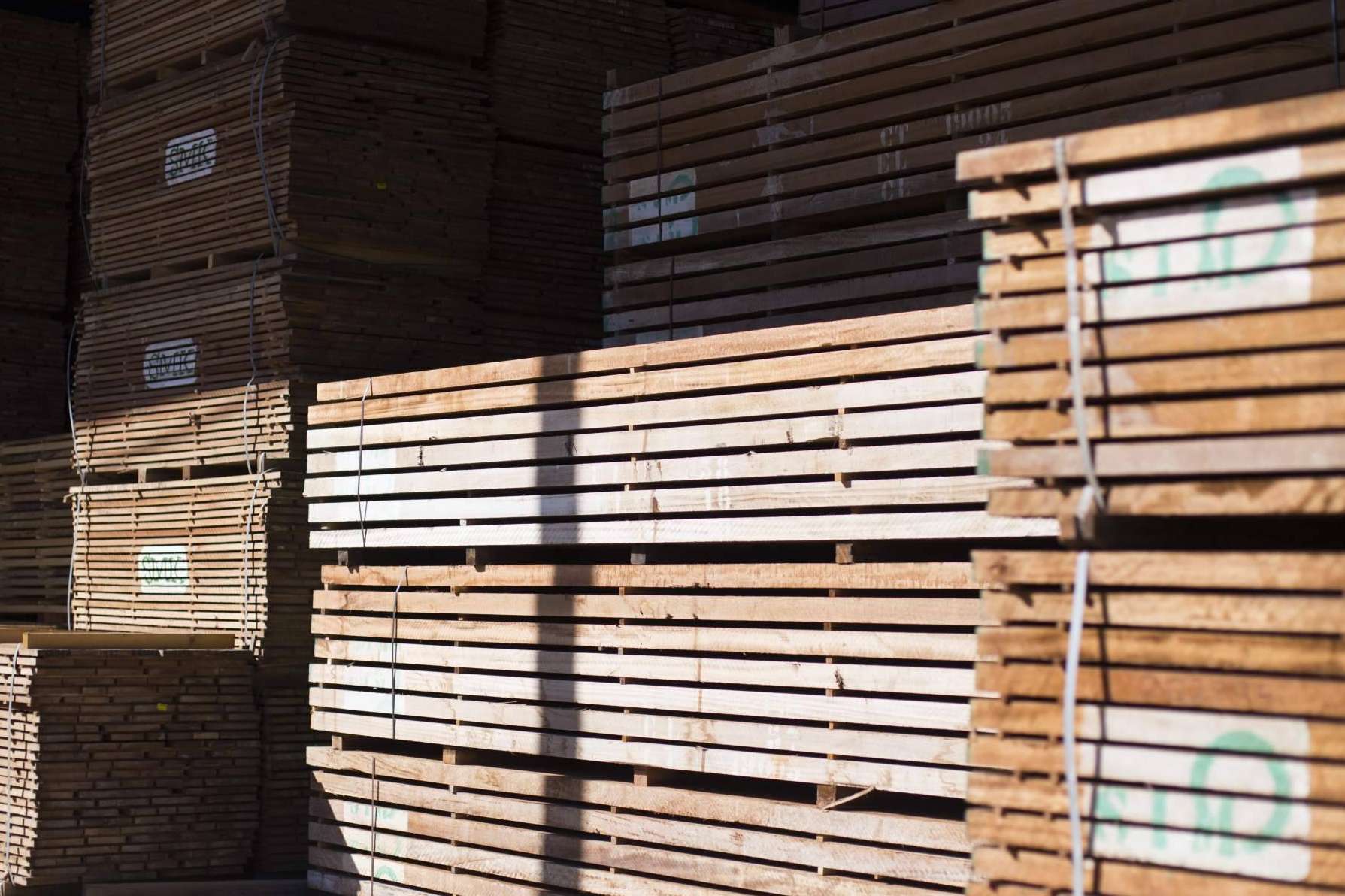 Sostenibilidad, internacionalización e innovación en la industria de la madera