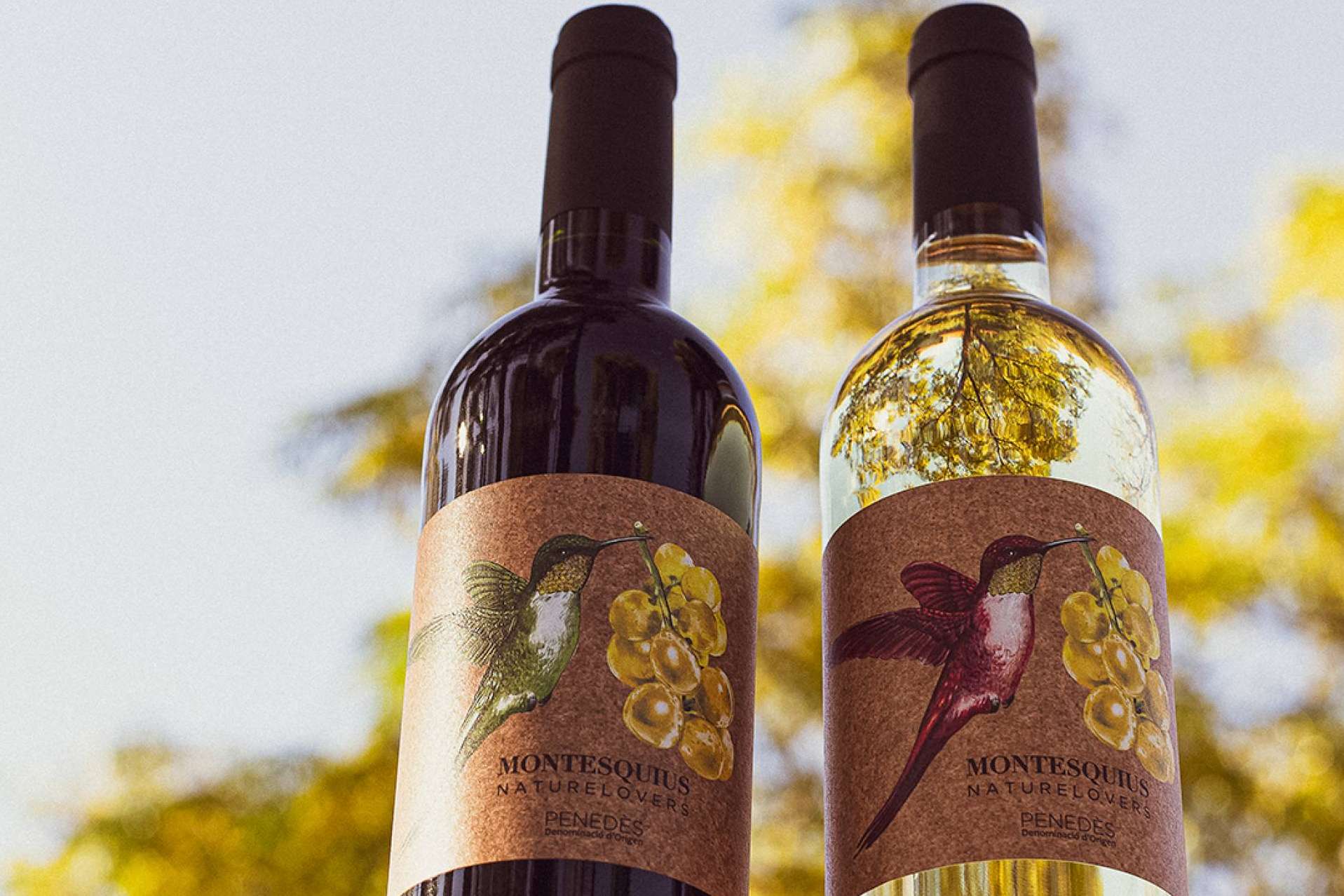 Beberse la naturaleza vinos y cavas