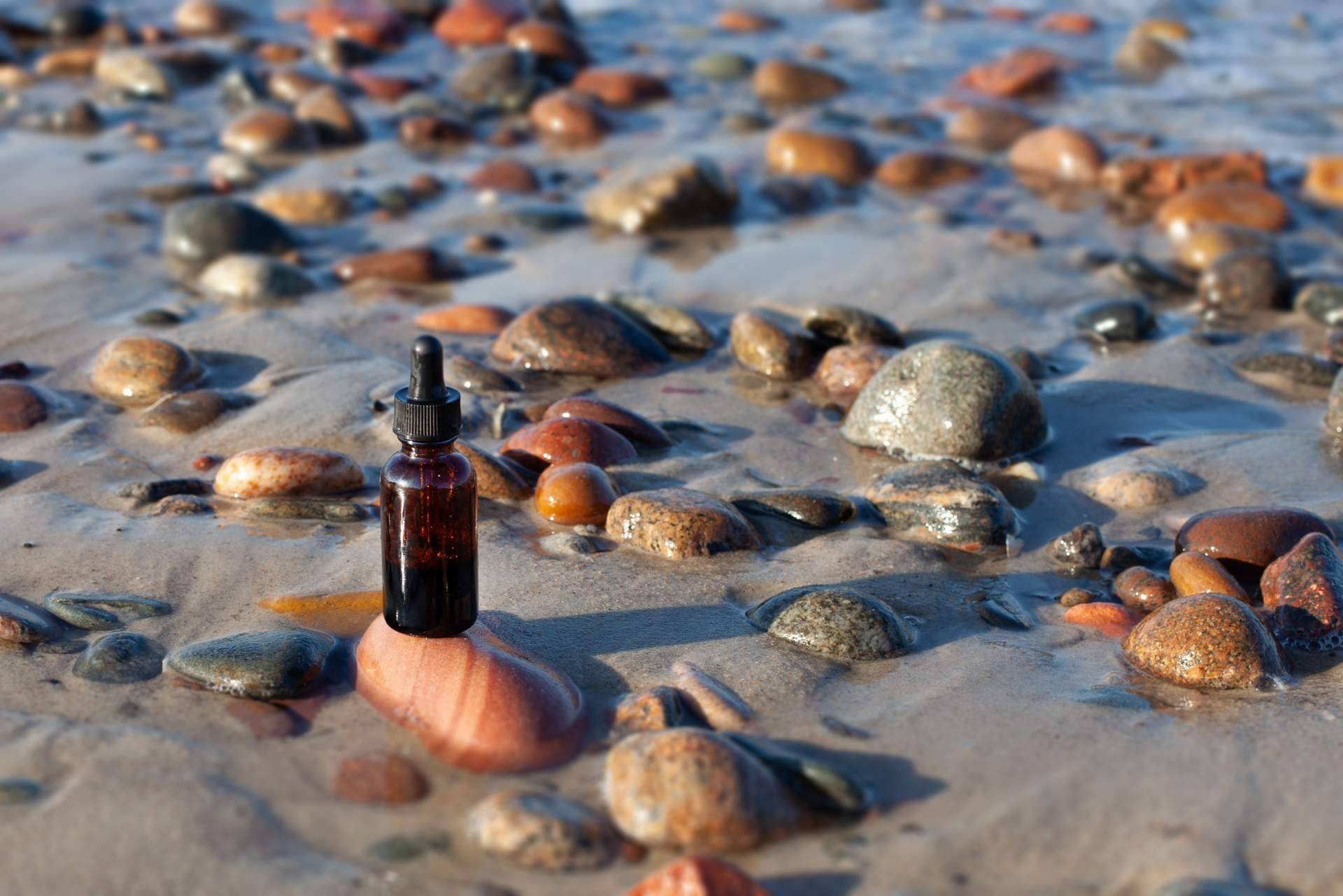 ¿Qué es la fitoterapia?, un elemento básico de la naturoterapia