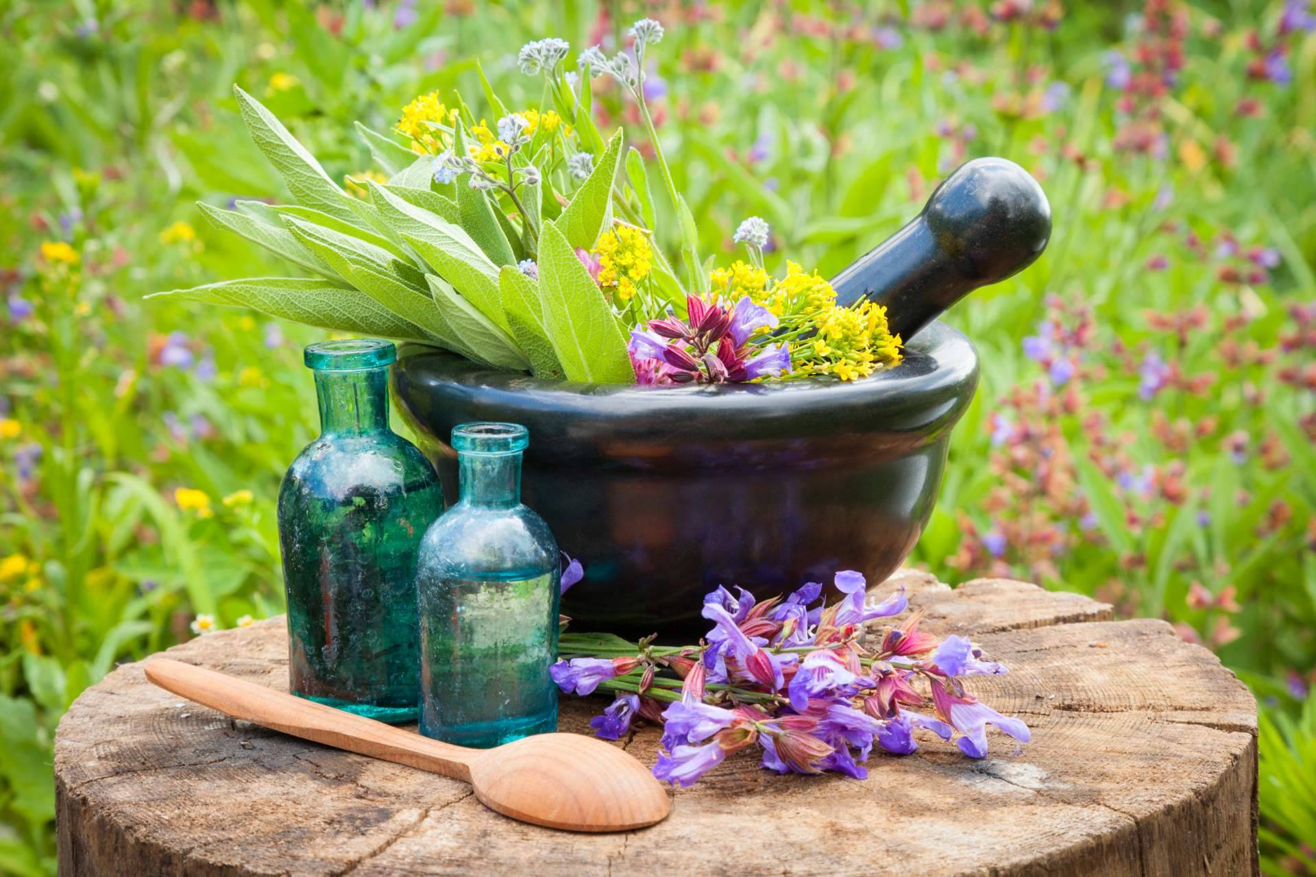 Curso de Flores de Bach y Curso Gestión del Estrés con Fortalecimiento Vital