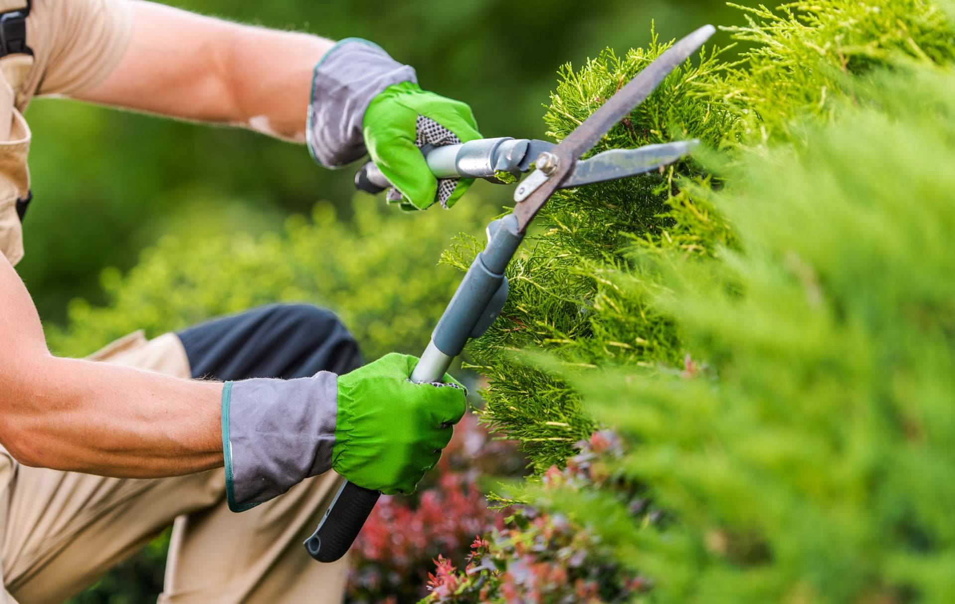 Mantenimiento integral de jardines y parques de empresas de la mano de Grupo Sileb