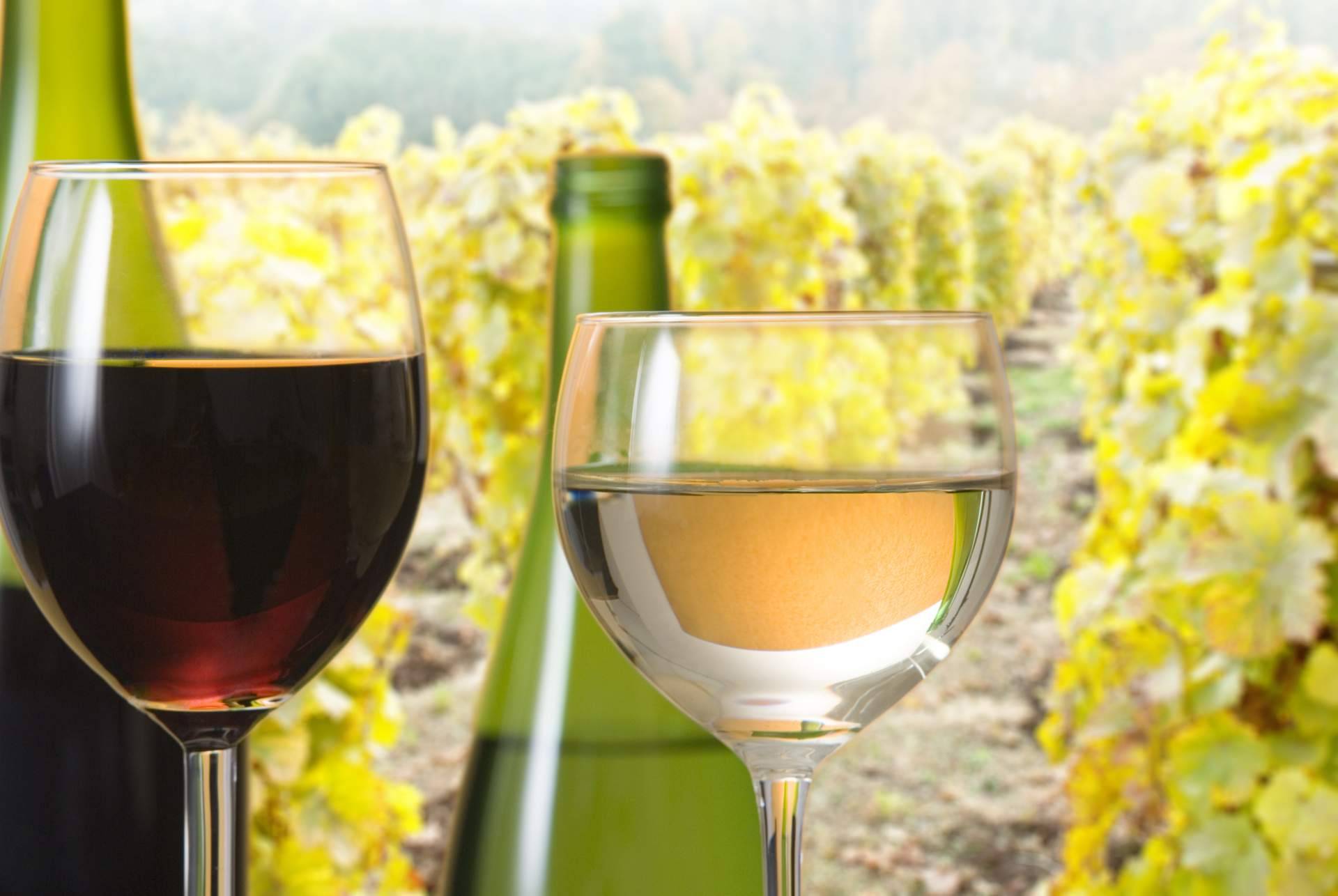 Your Wine at Home ofrece vinos ecológicos de calidad que cuidan el ambiente