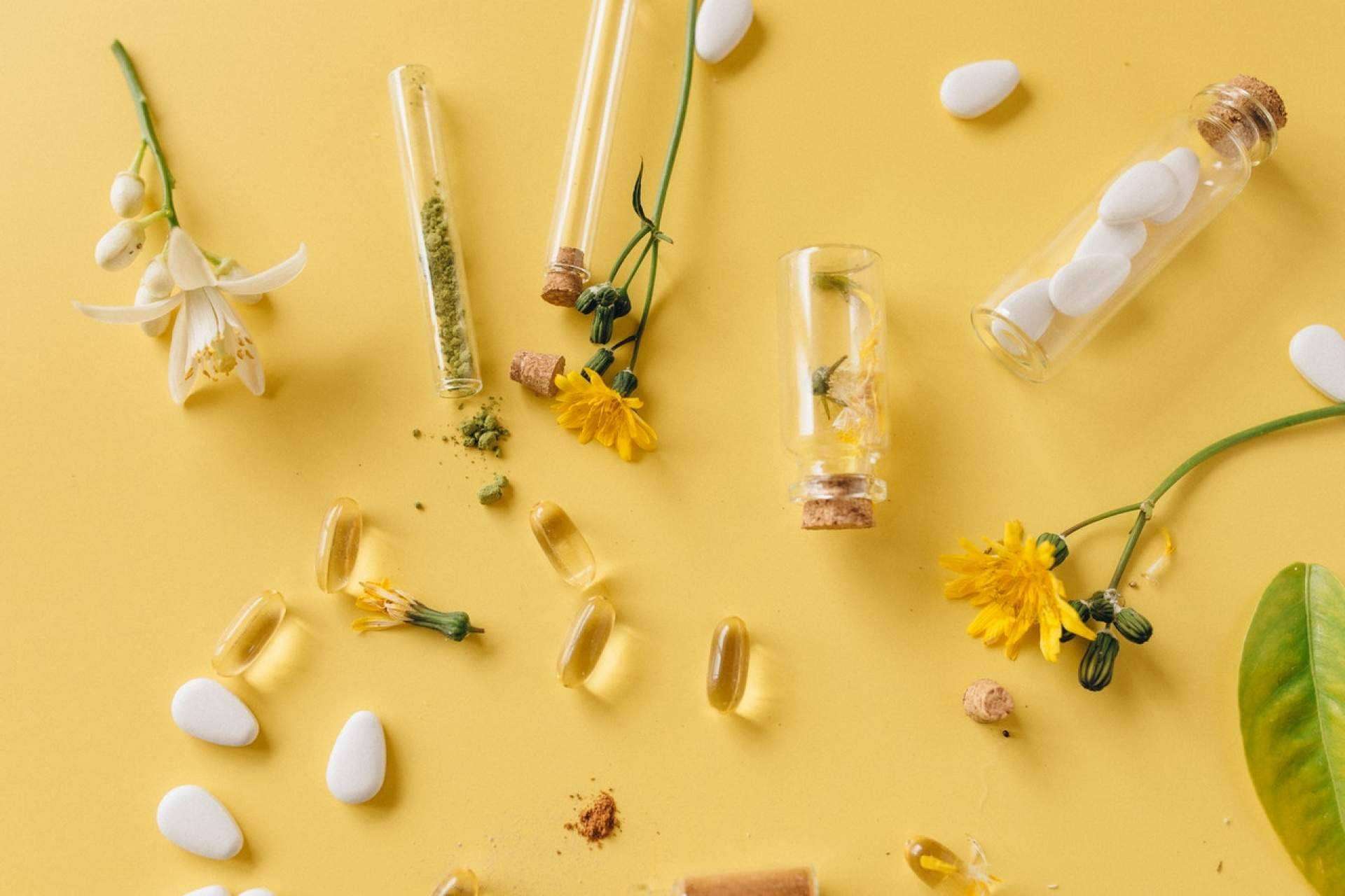 Aprender todo sobre las plantas medicinales y sus usos con la formación en fitoterapia