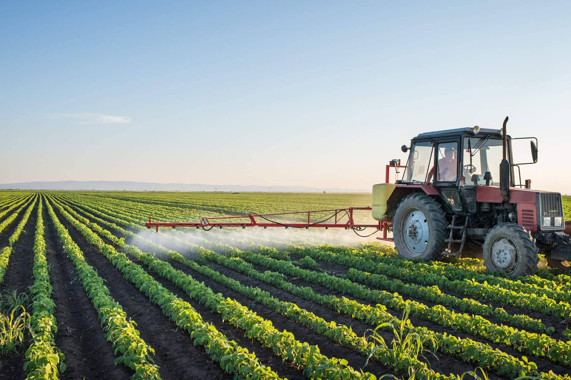 Gestión de cultivos de alto valor como el olivo con las soluciones agrícolas y asesoramiento técnico de Agbar Agriculture