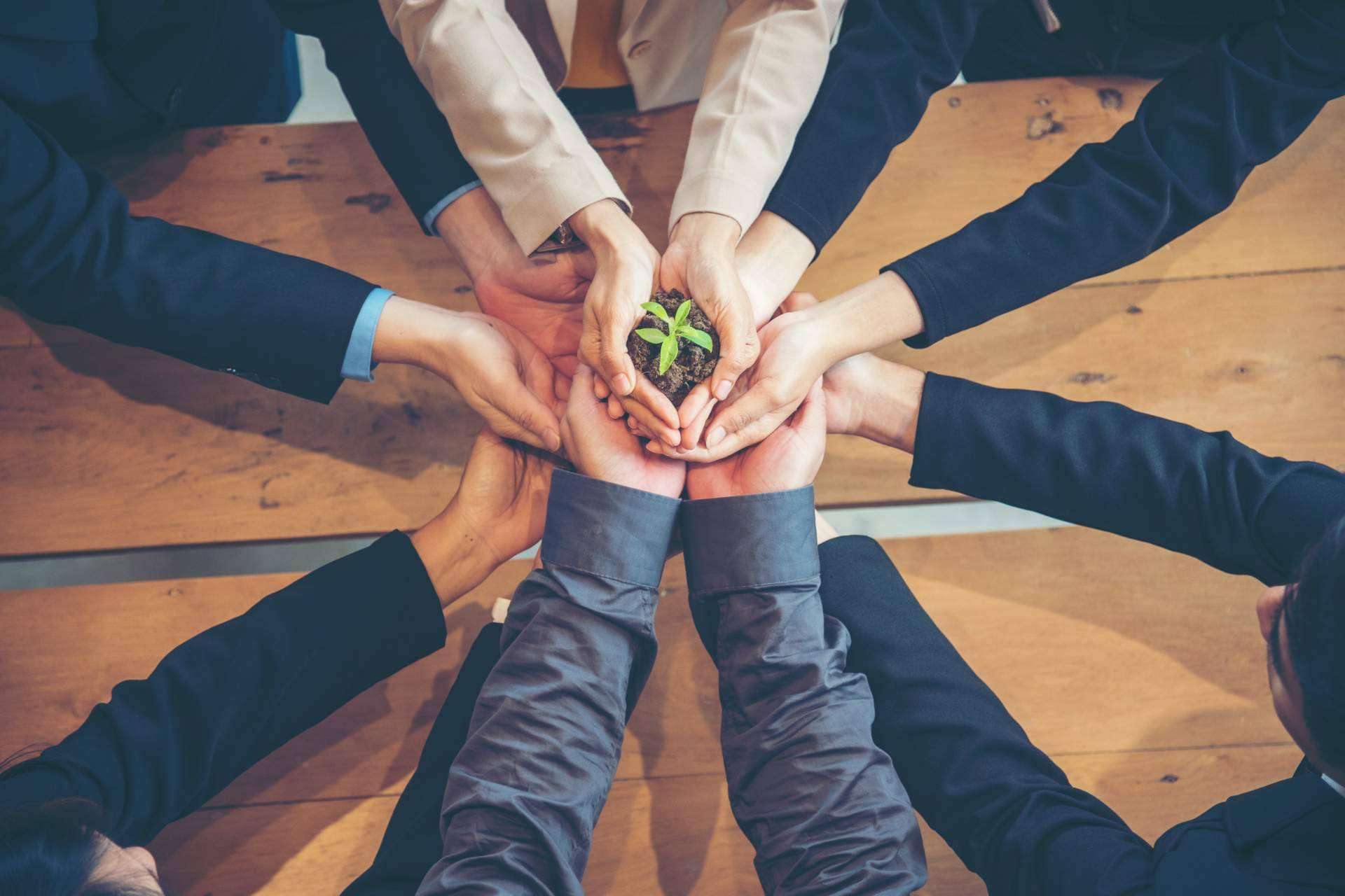 ¿De qué manera crear cultura sostenible en una empresa?, según DoGood